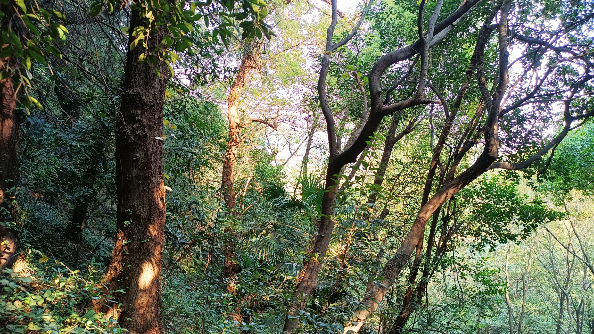 泗阳奥林匹克生态公园旅行图片 3