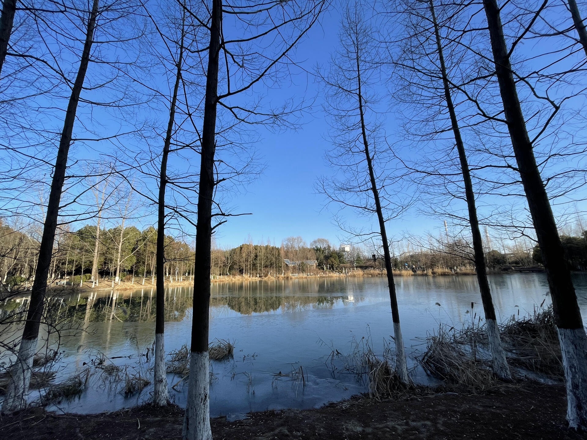 泗阳奥林匹克生态公园旅行图片 1