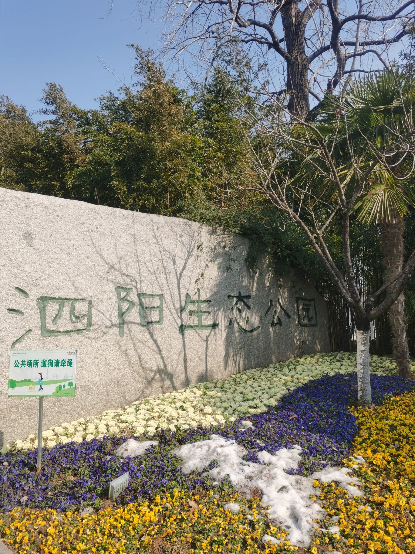 泗阳奥林匹克生态公园
