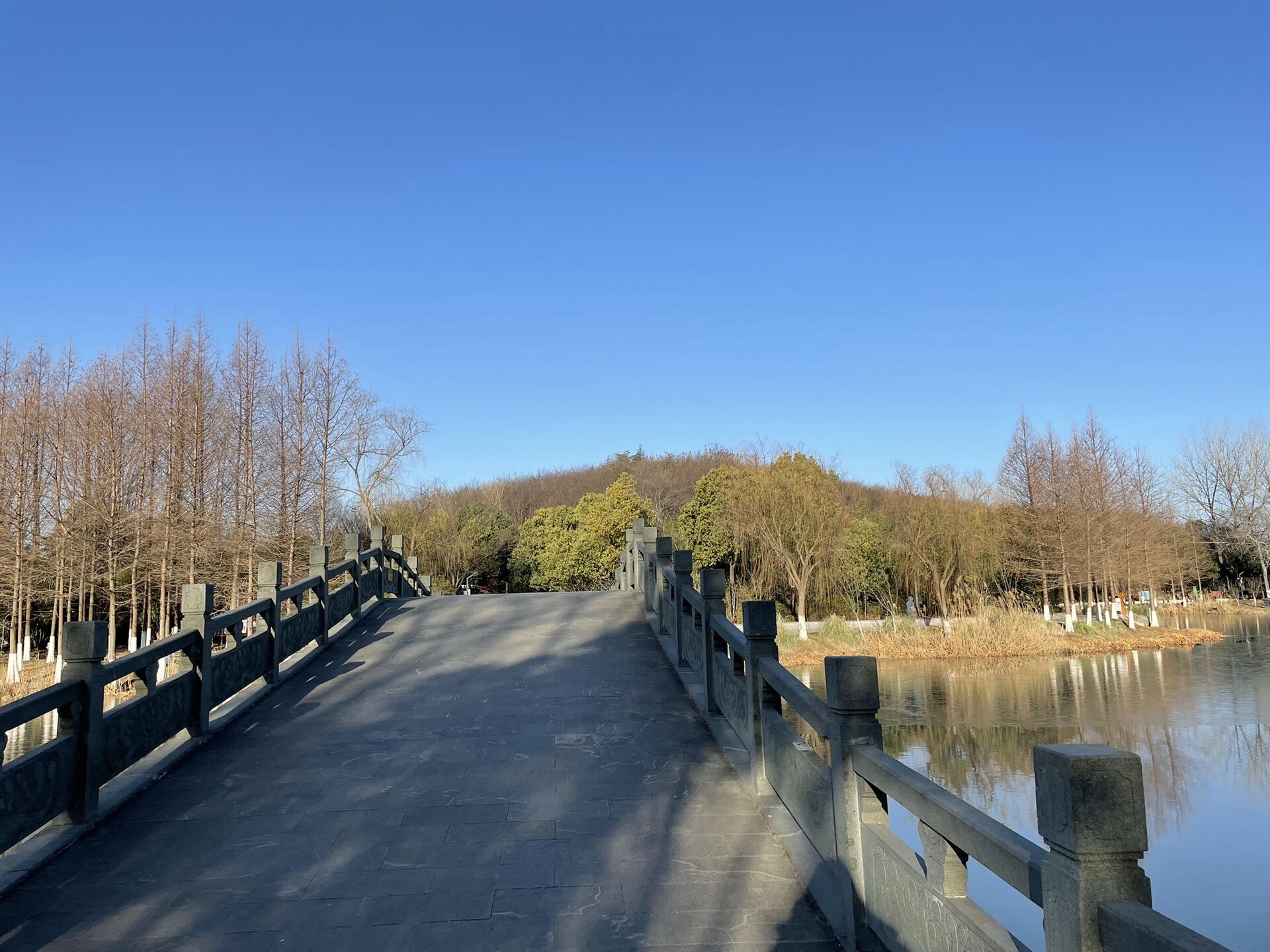 泗阳奥林匹克生态公园旅行图片 3