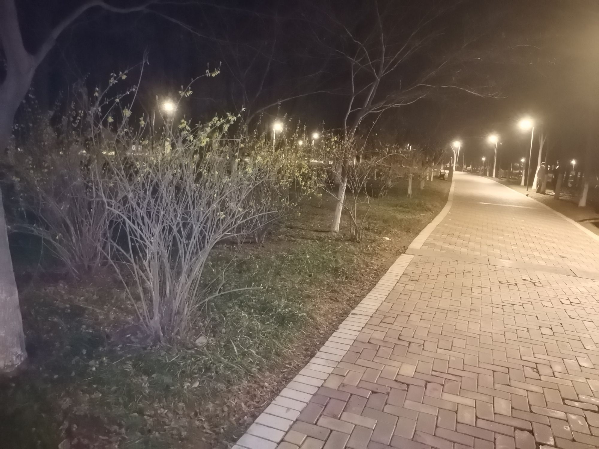 泗阳奥林匹克生态公园旅行图片 2