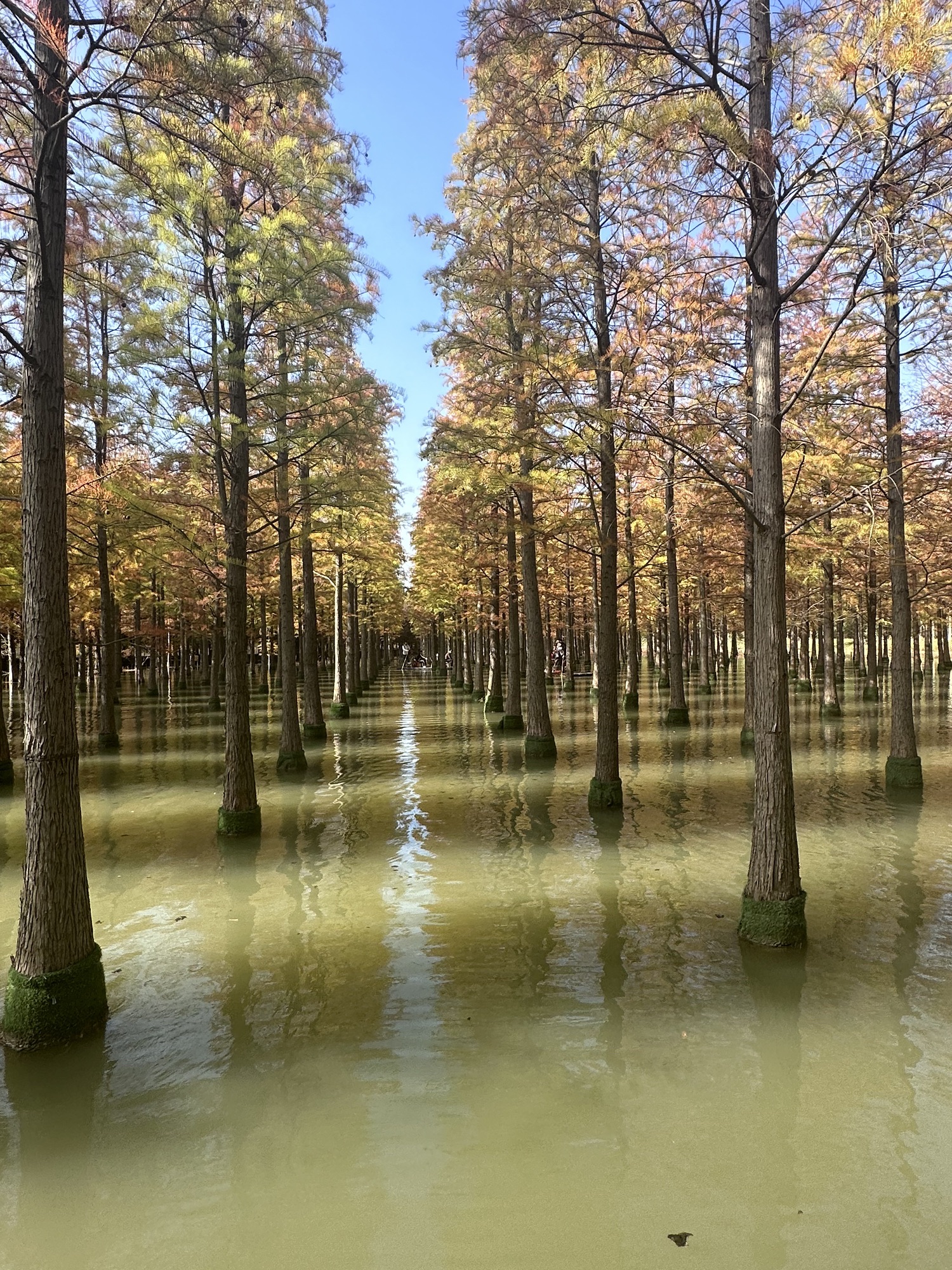 洪泽湖旅行图片 1
