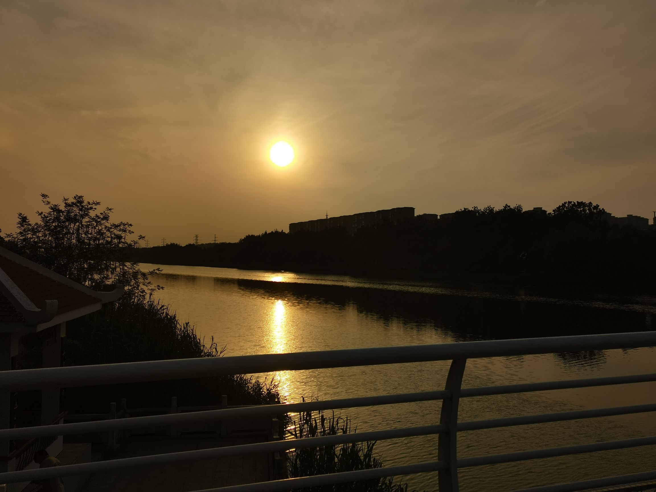 古黄河生态体育公园旅行图片 3