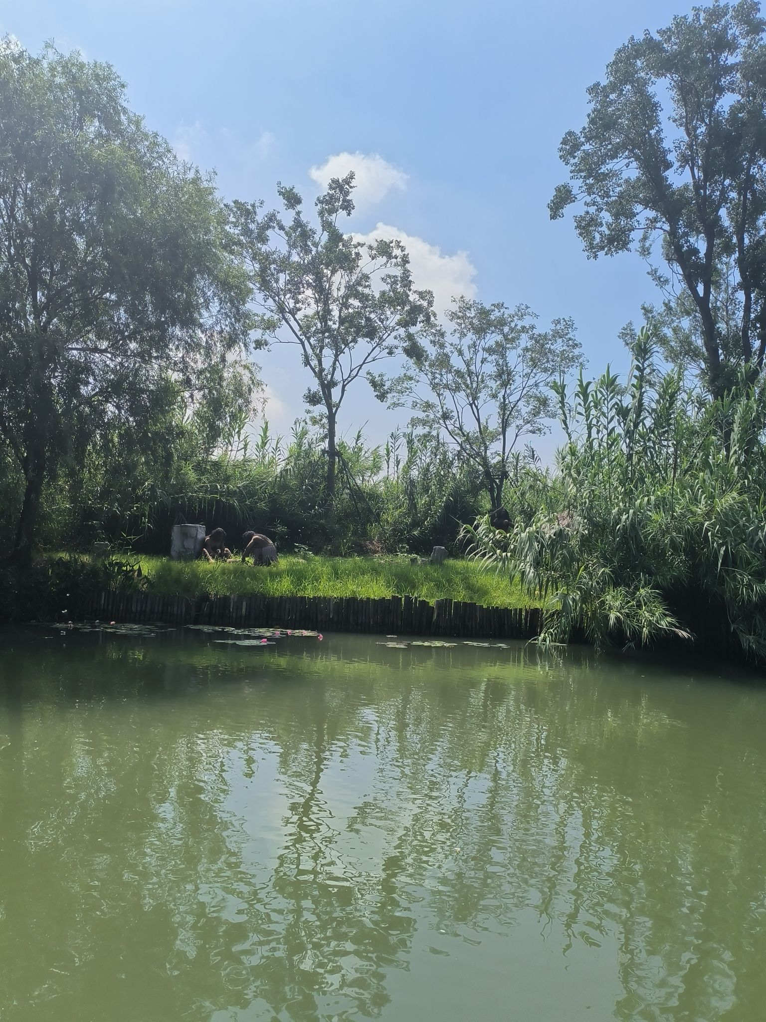 泗洪洪泽湖湿地景区旅行图片 3