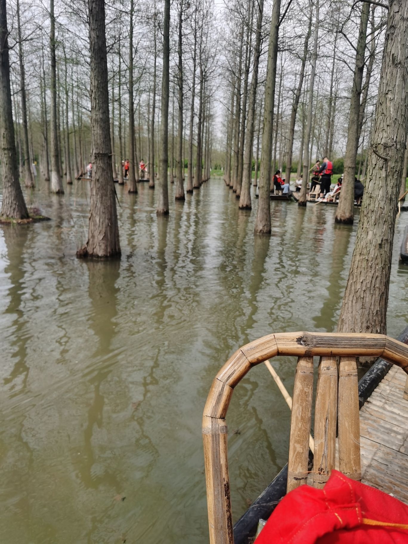 泗洪洪泽湖湿地景区旅行图片 3
