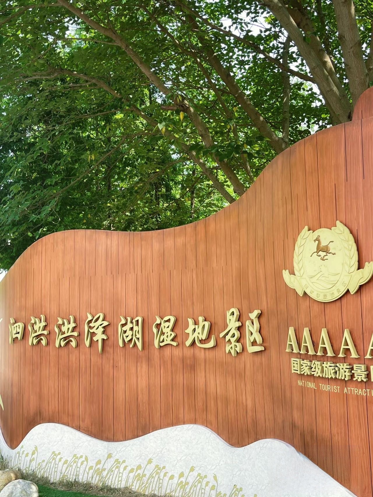 泗洪洪泽湖湿地景区旅行图片 2