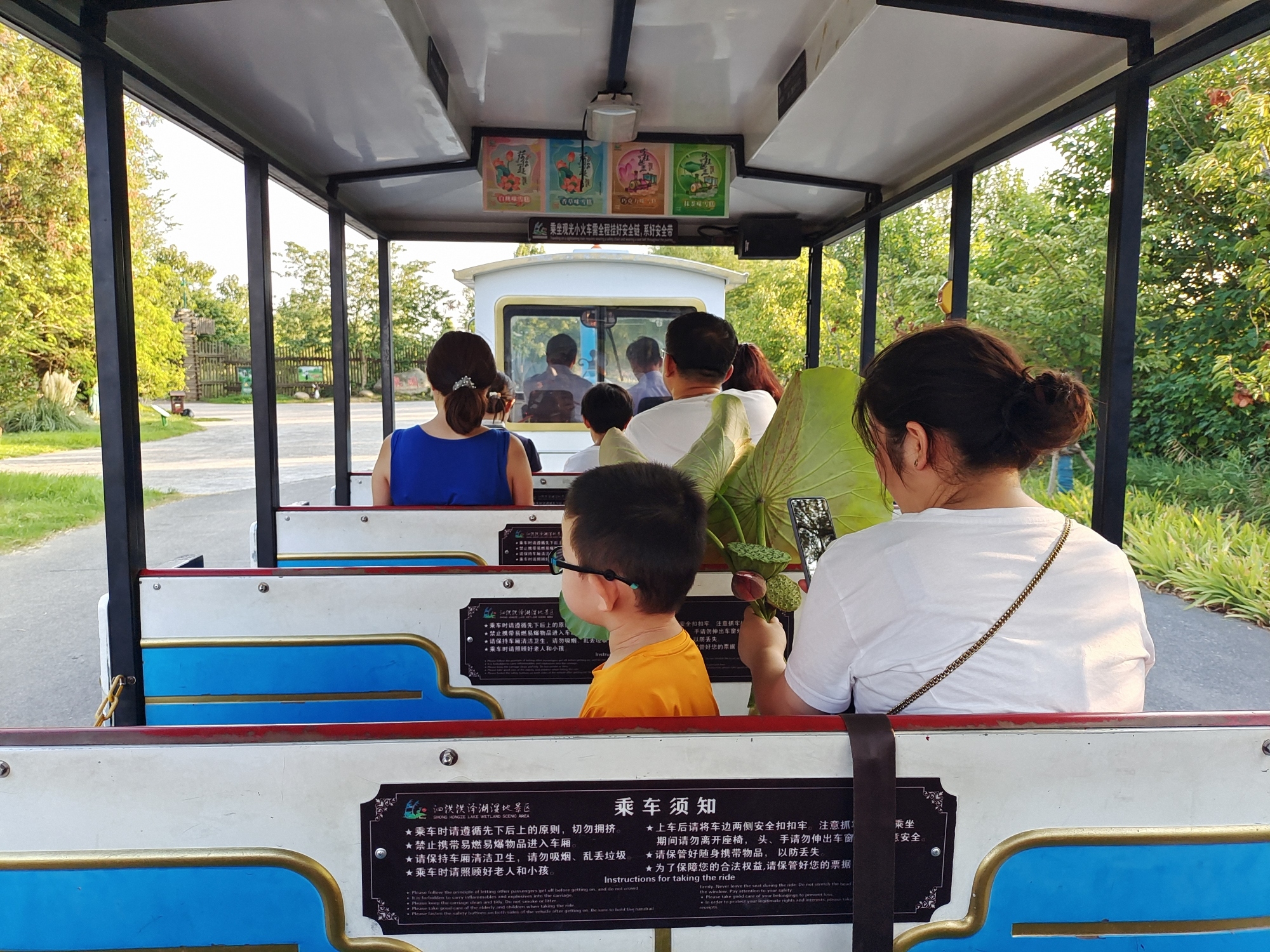 泗洪洪泽湖湿地景区旅行图片 2
