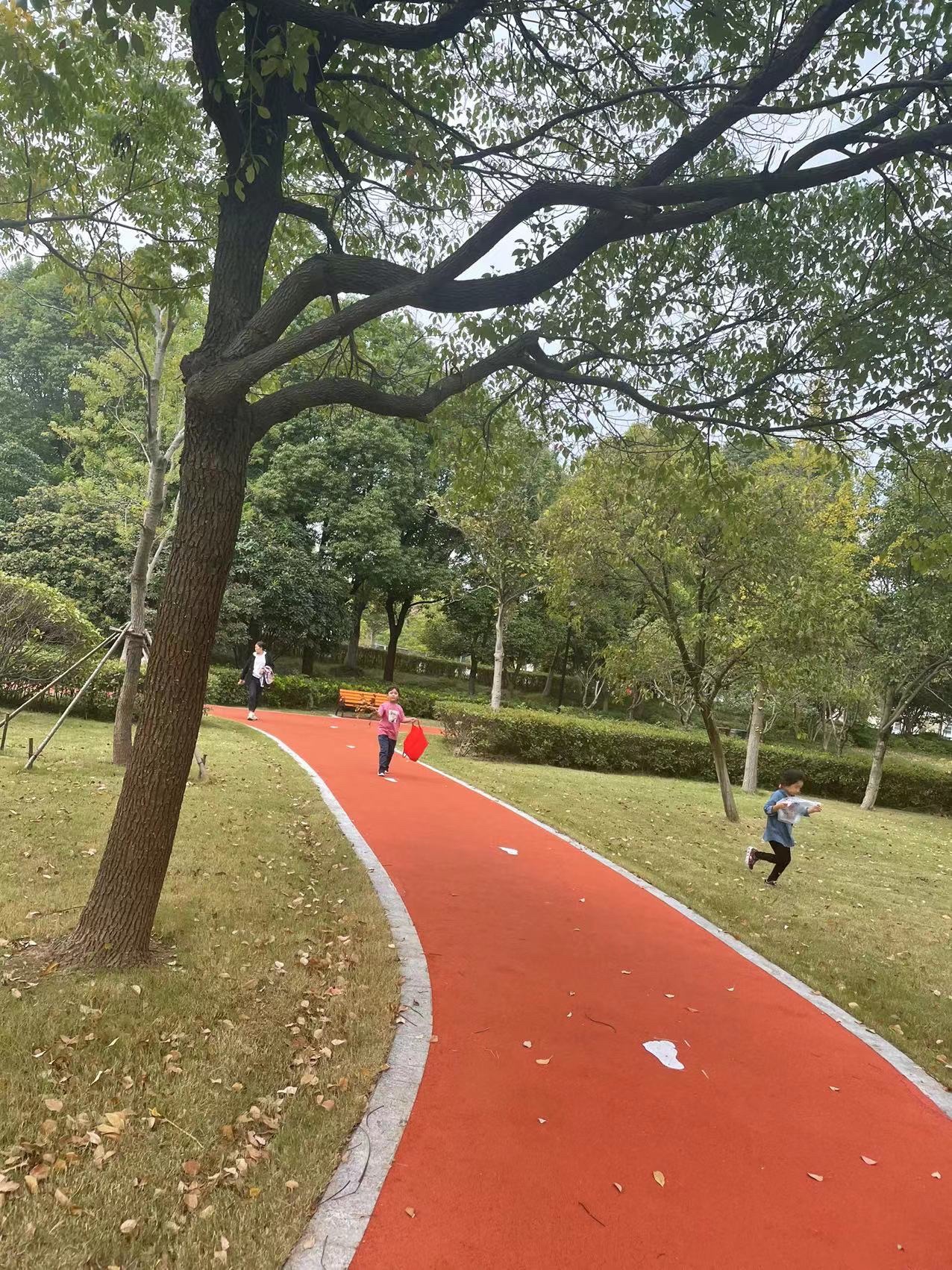 古徐广场旅行图片 3