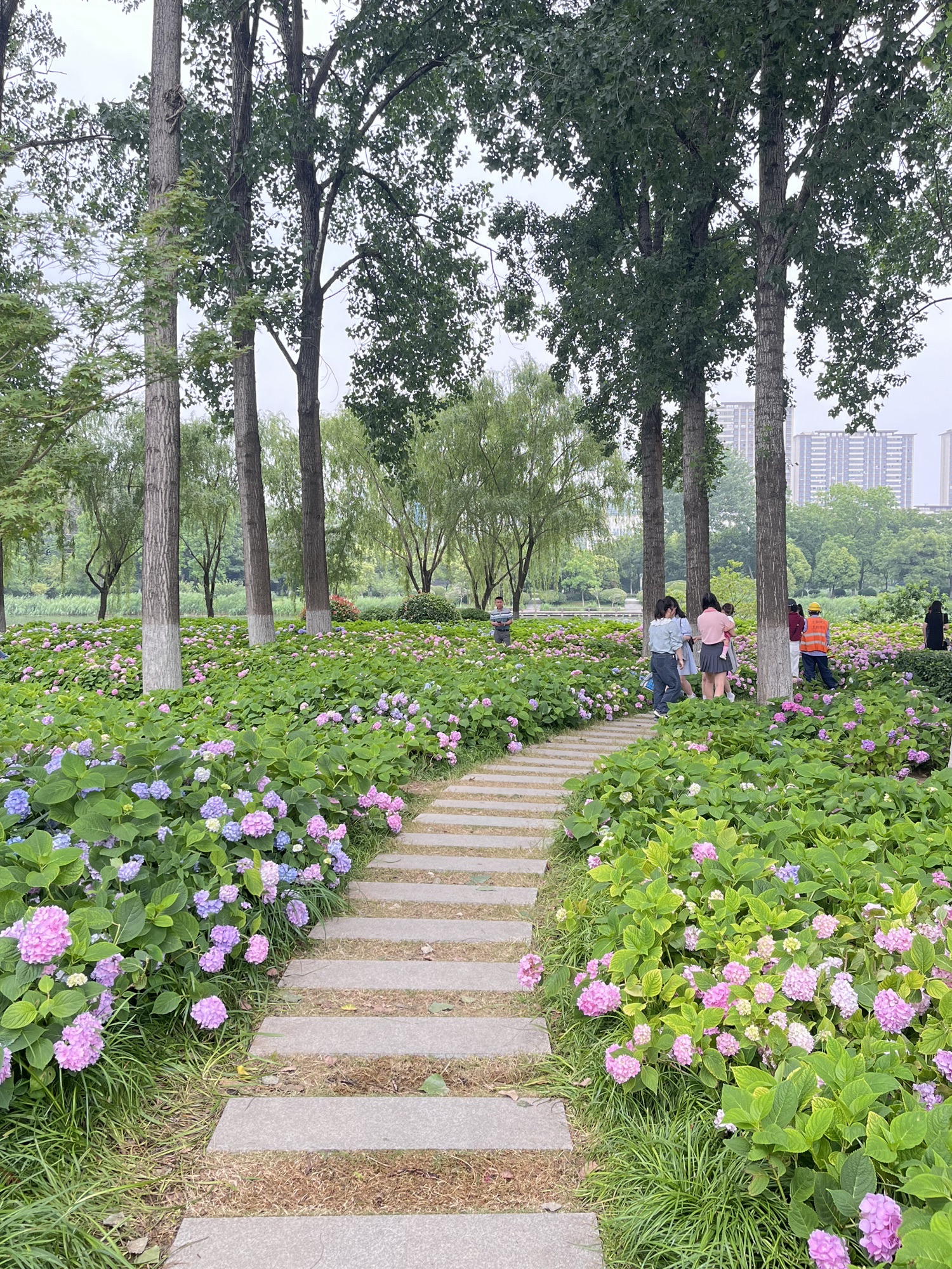古黄河水景公园旅行图片 1