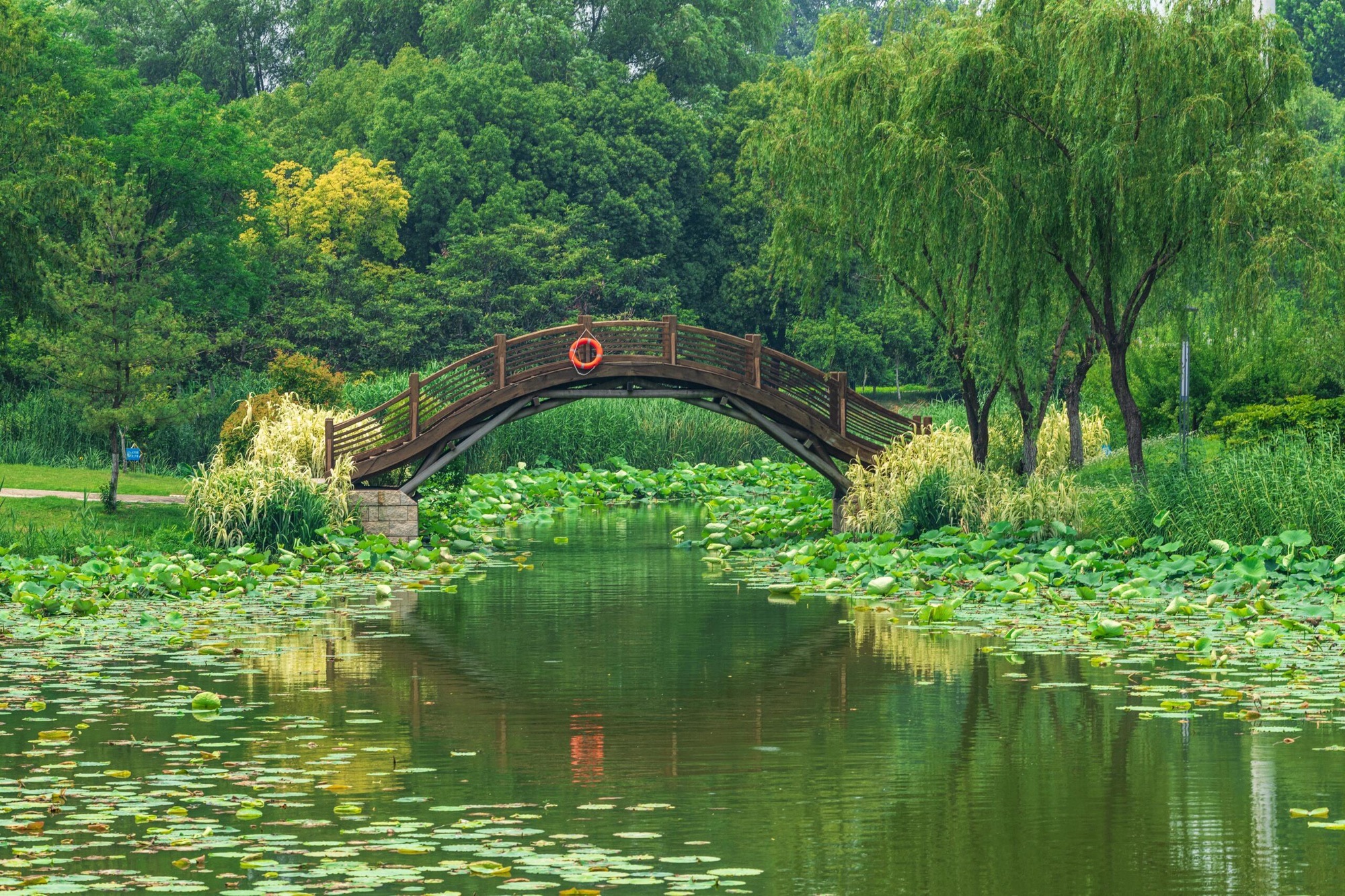 古黄河水景公园