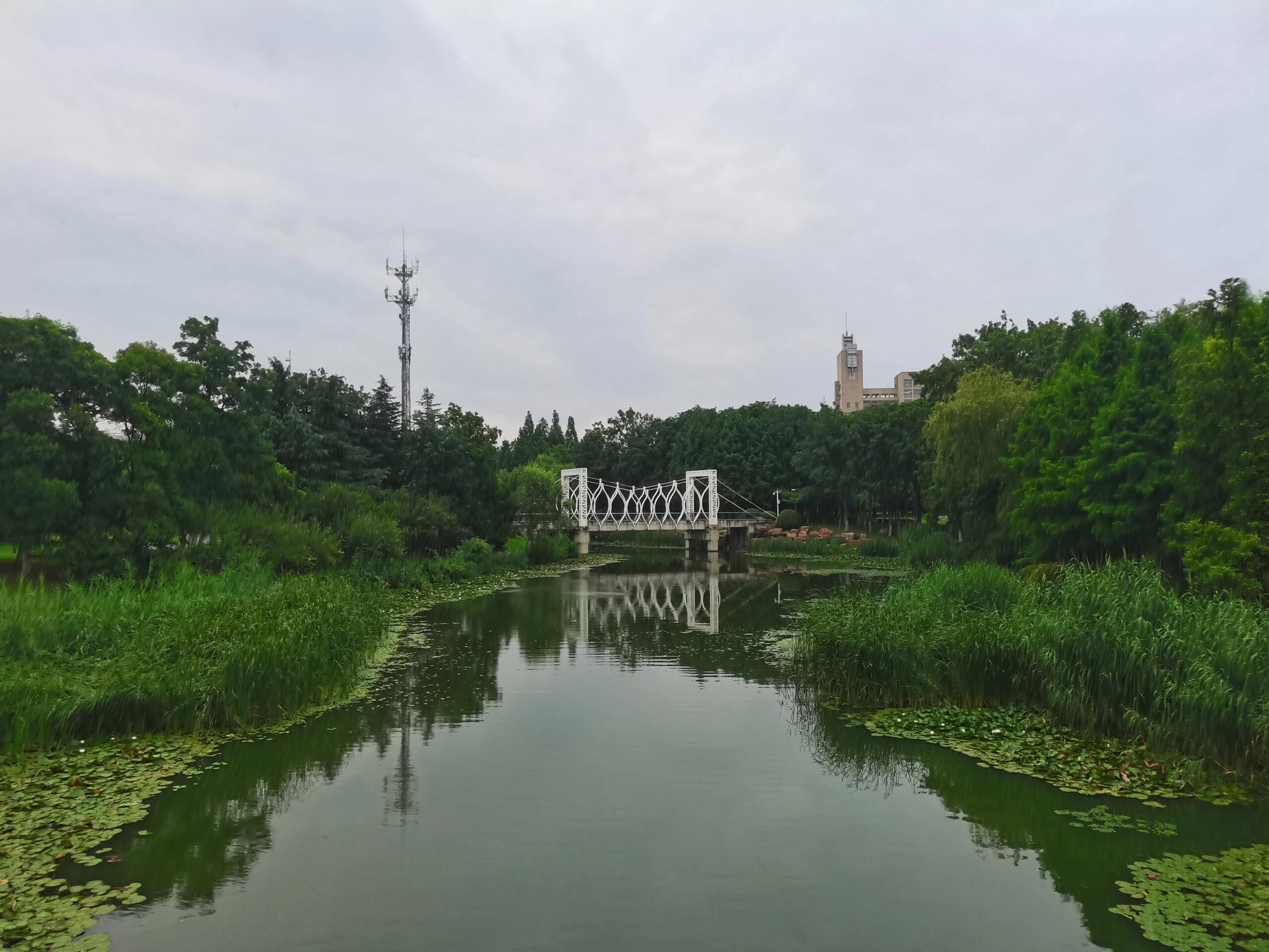 古黄河水景公园旅行图片 3