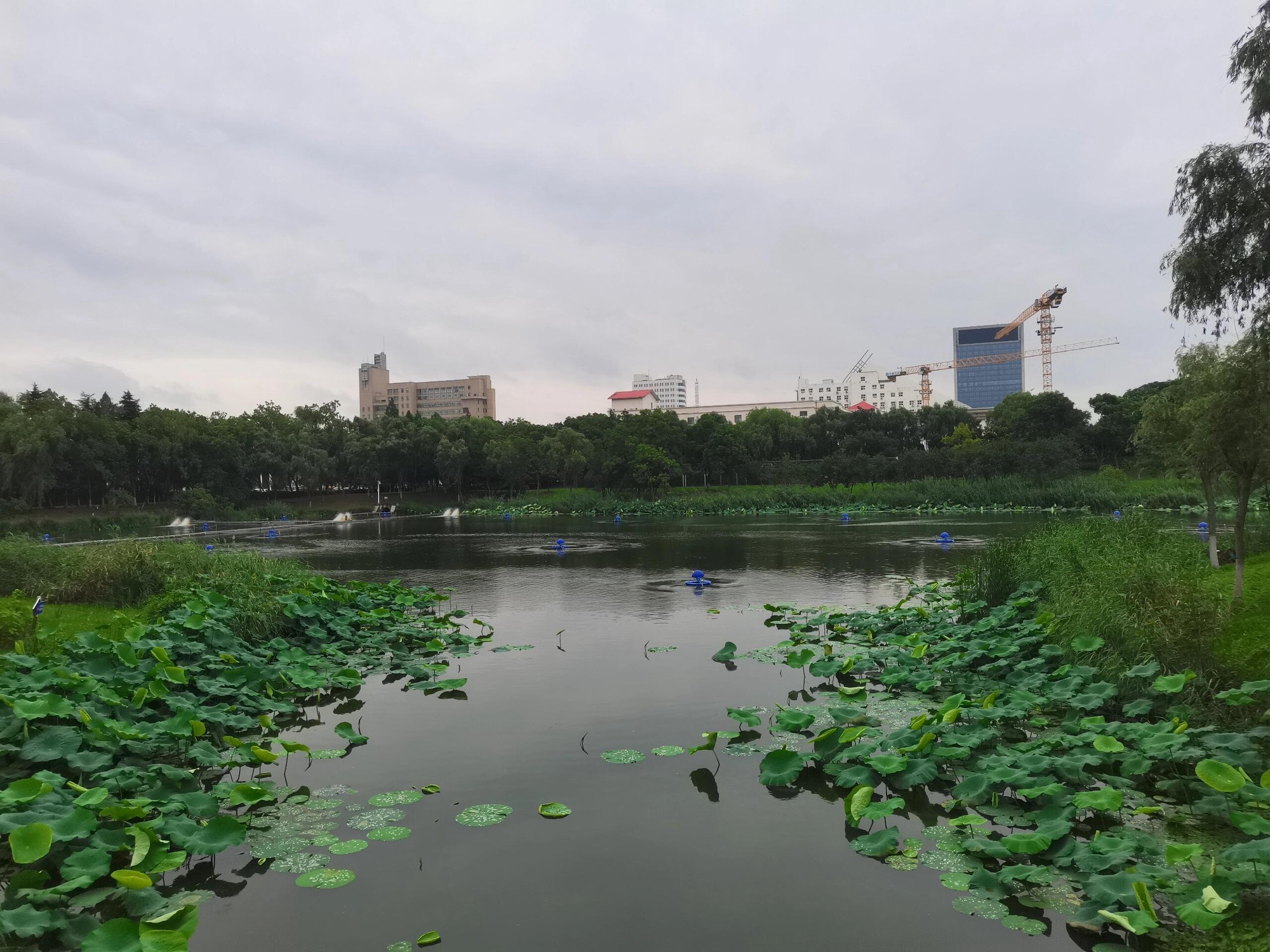 古黄河水景公园旅行图片 1