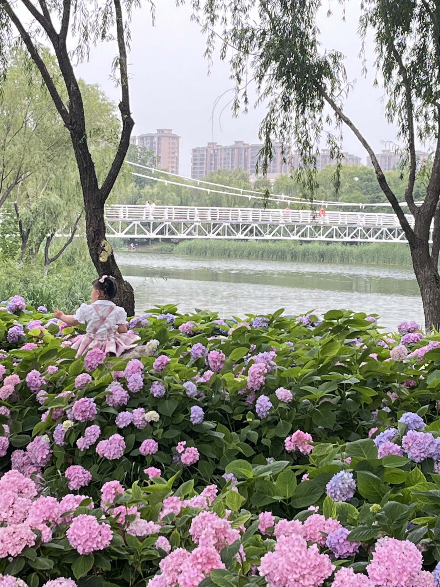 古黄河水景公园旅行图片 3