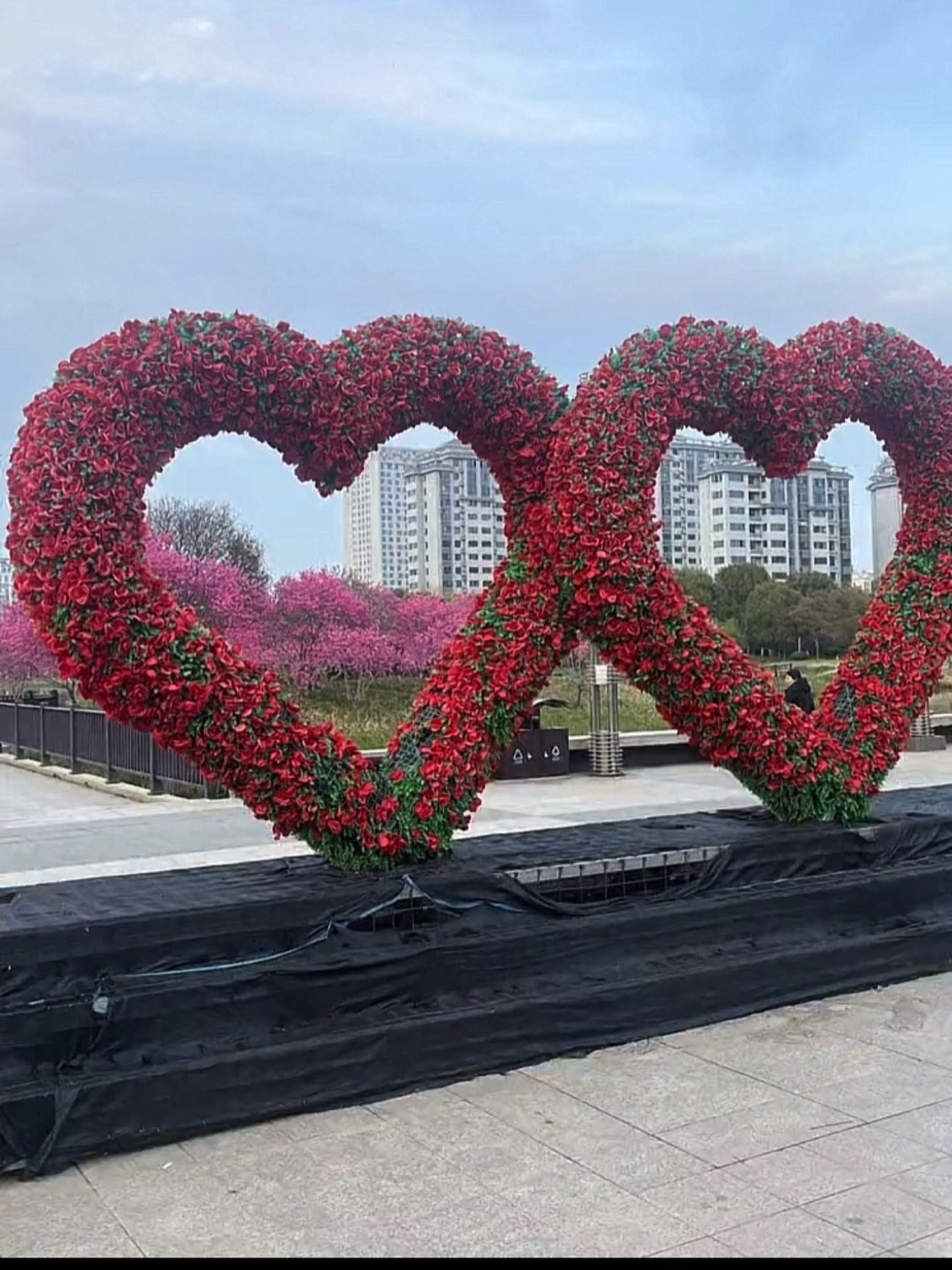 梦溪植物园旅行图片 2