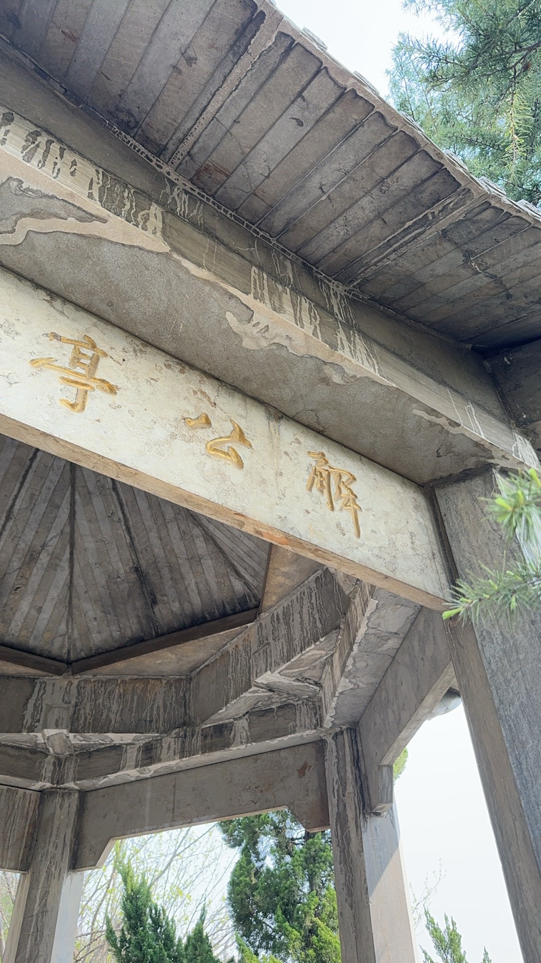 金山景区旅行图片 1