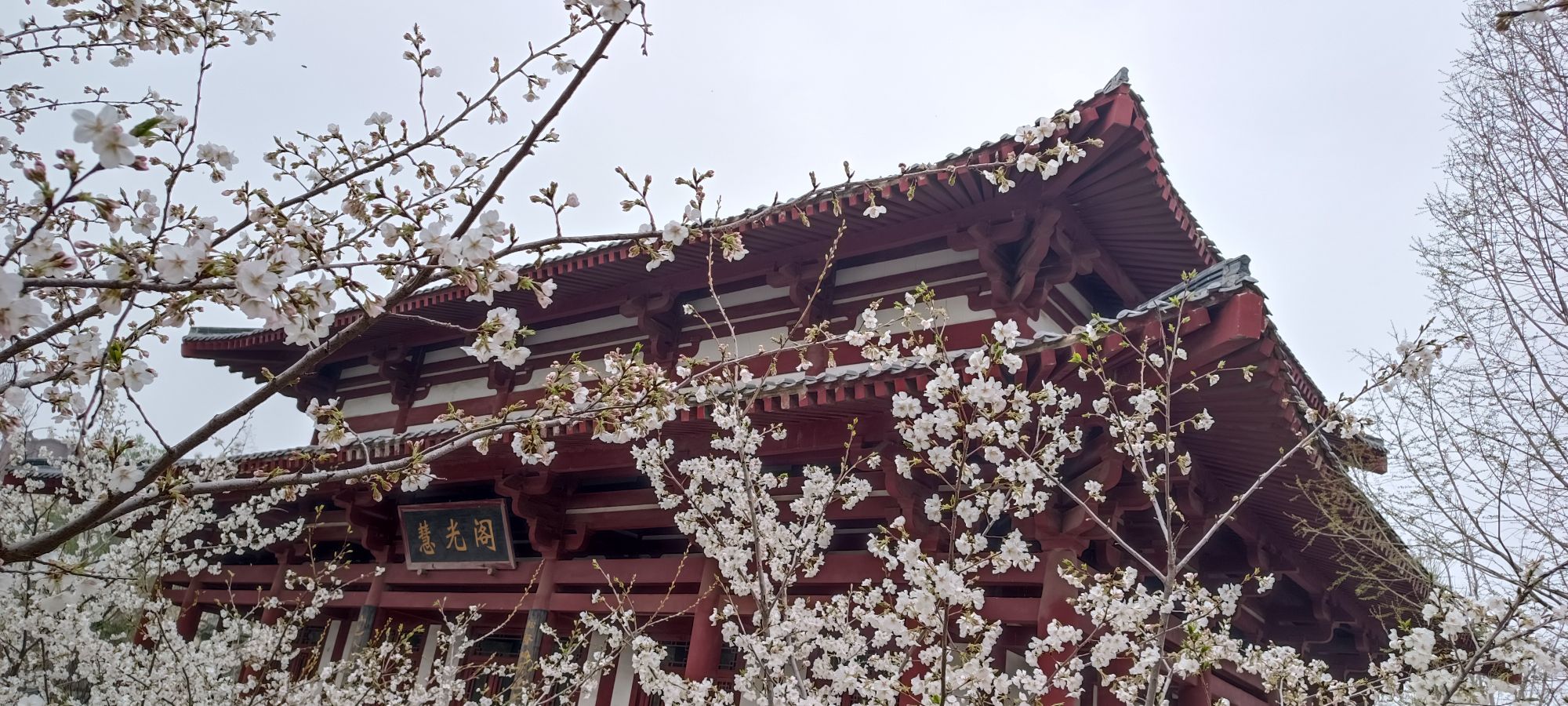 慧光公园旅行图片 3