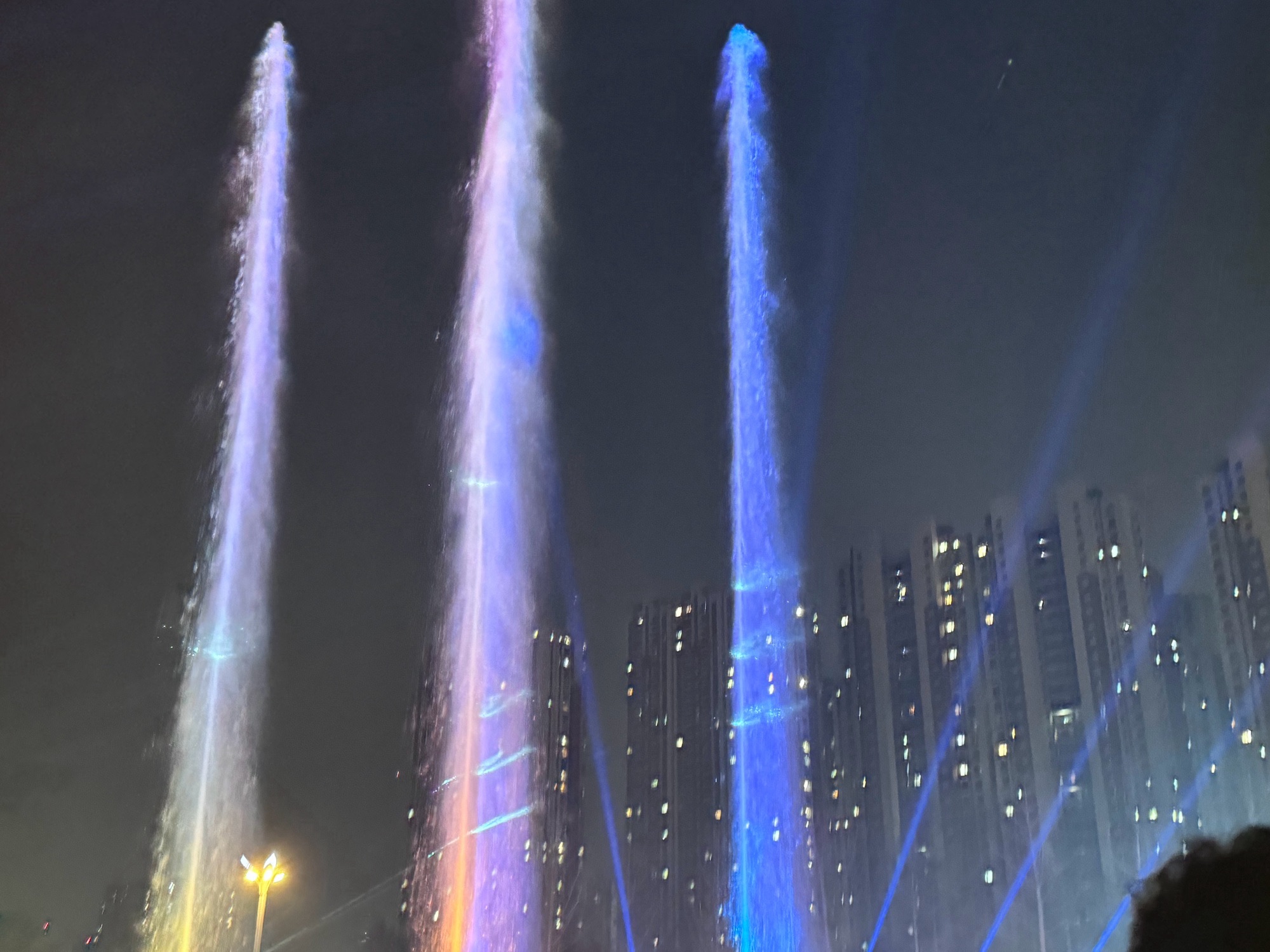 曹州牡丹园旅行图片 3