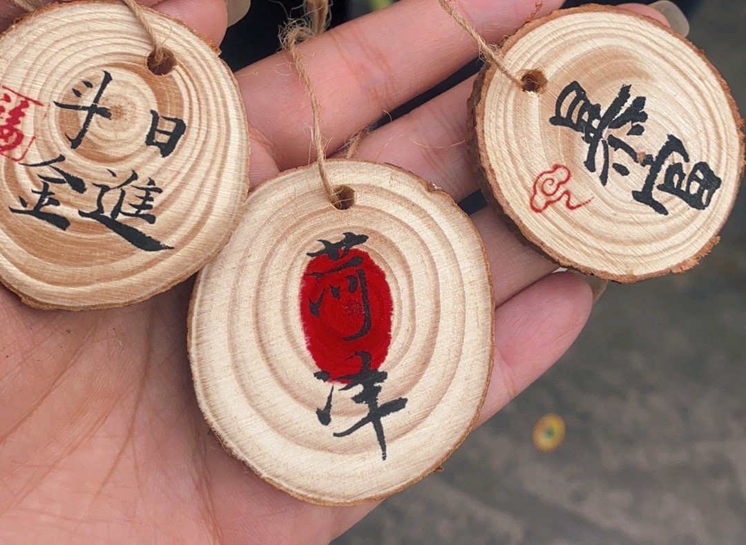 曹州牡丹园旅行图片 1
