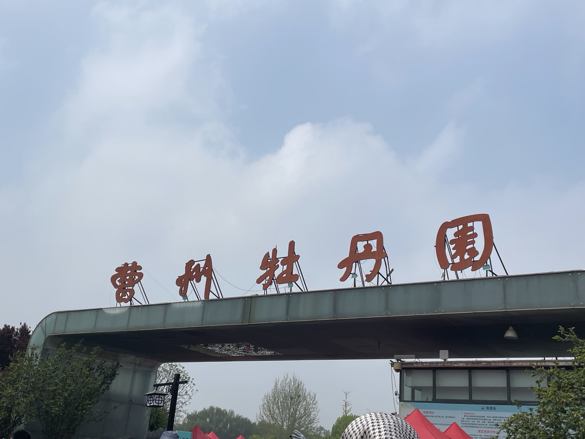 曹州牡丹园旅行图片 2