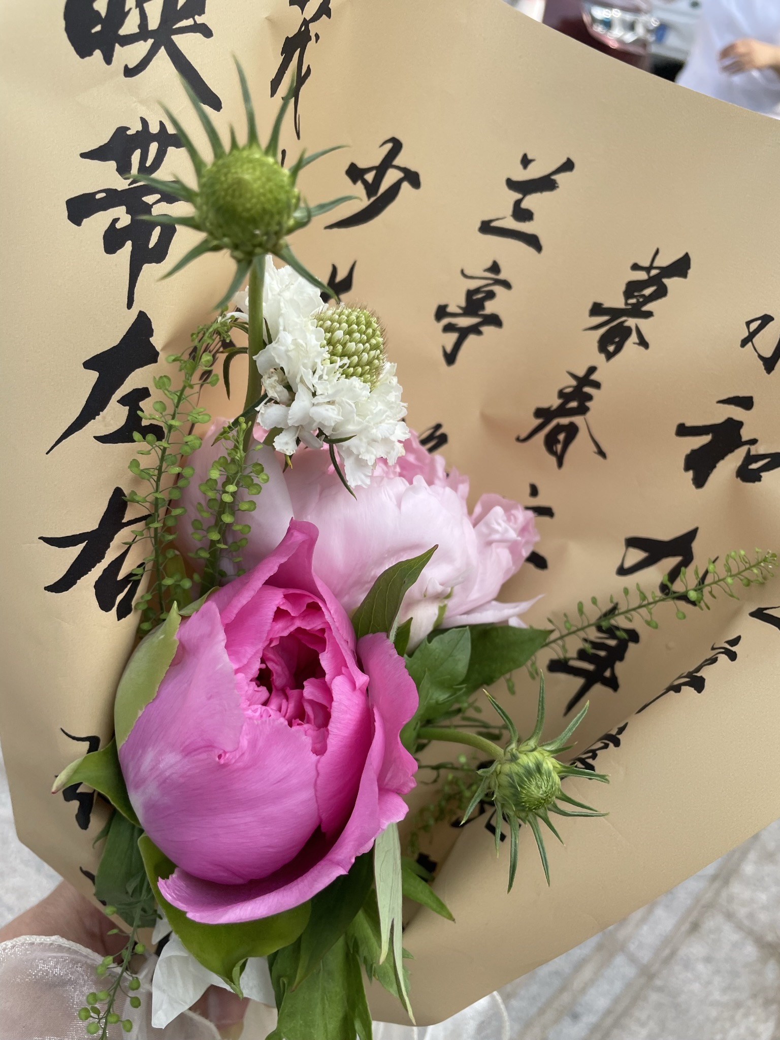 曹州牡丹园旅行图片 1