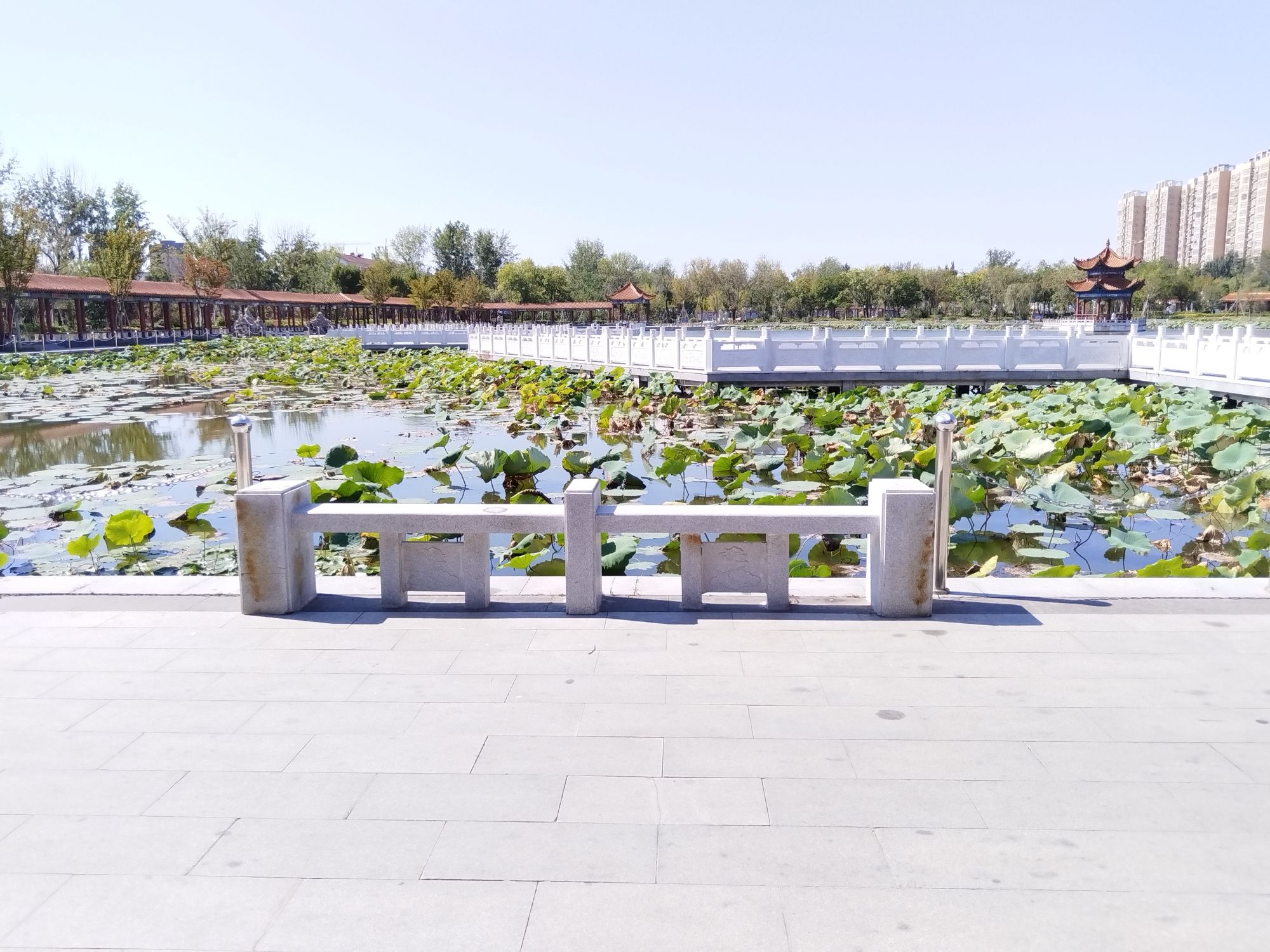 万福公园旅行图片 2