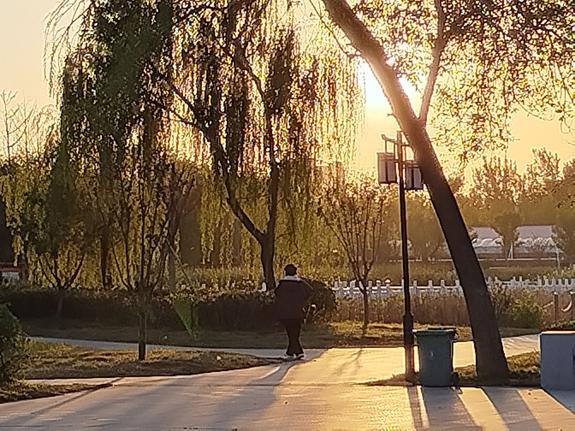 万福公园旅行图片 3