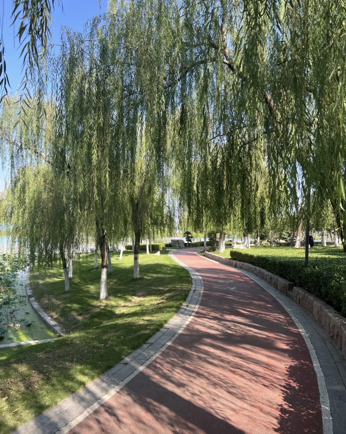赵王河儿童公园