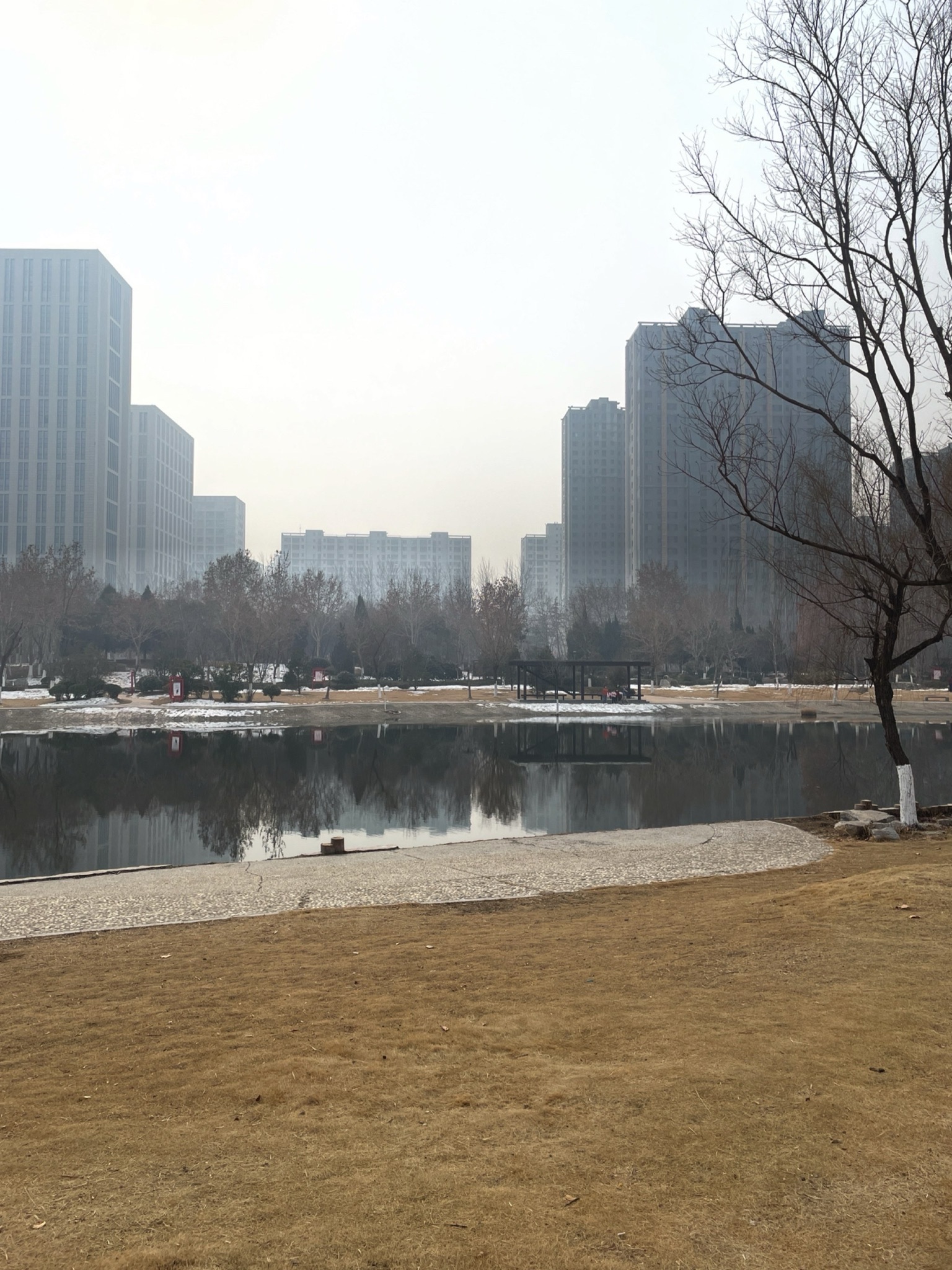 赵王河儿童公园旅行图片 1