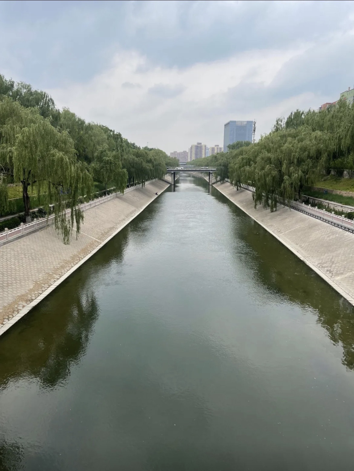 赵王河儿童公园旅行图片 3