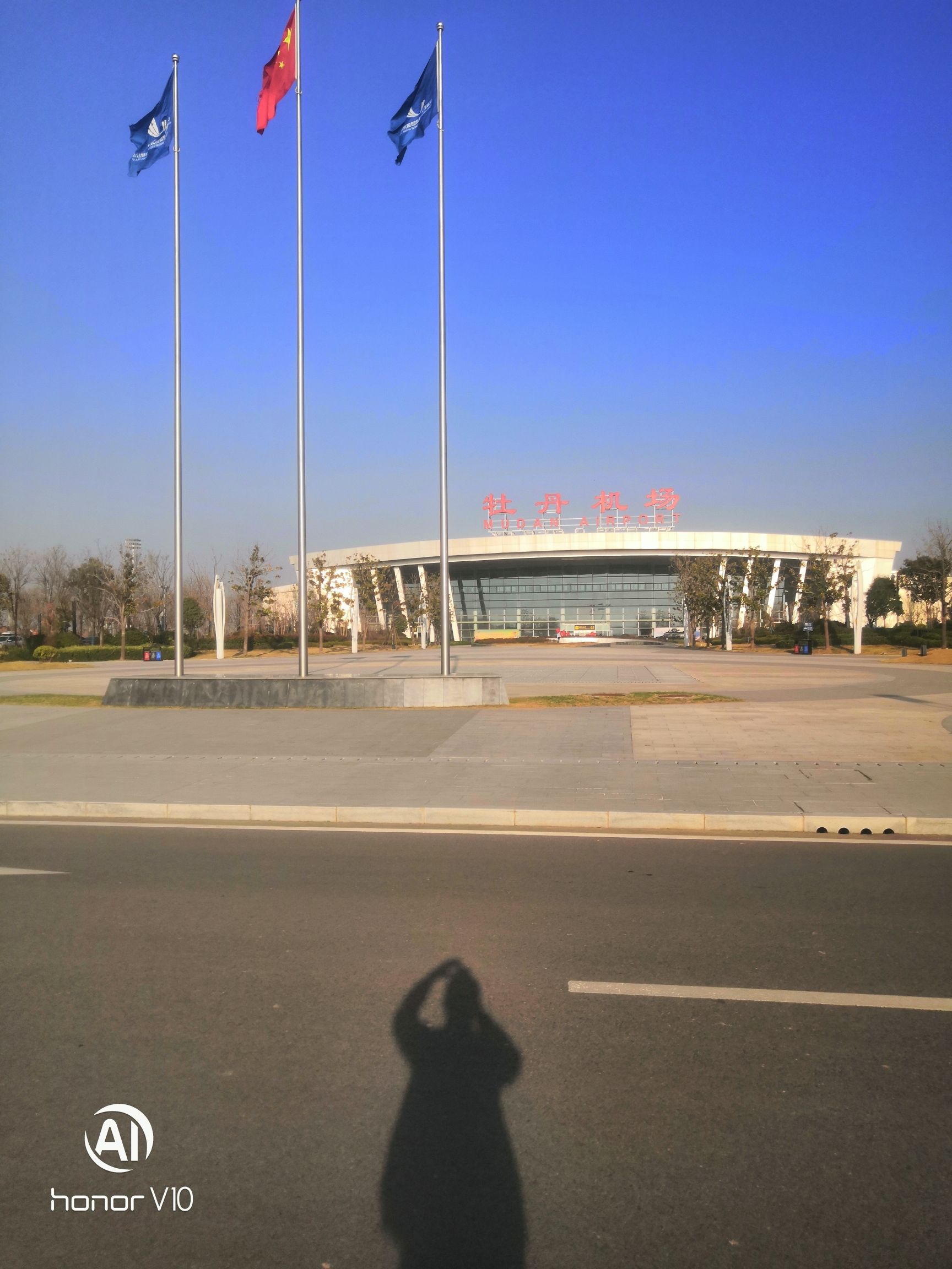 牡丹广场旅行图片 2