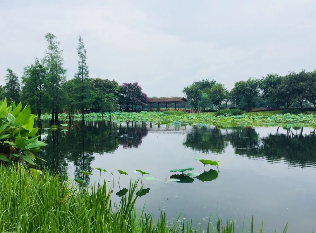 白云湖景区旅行图片 2