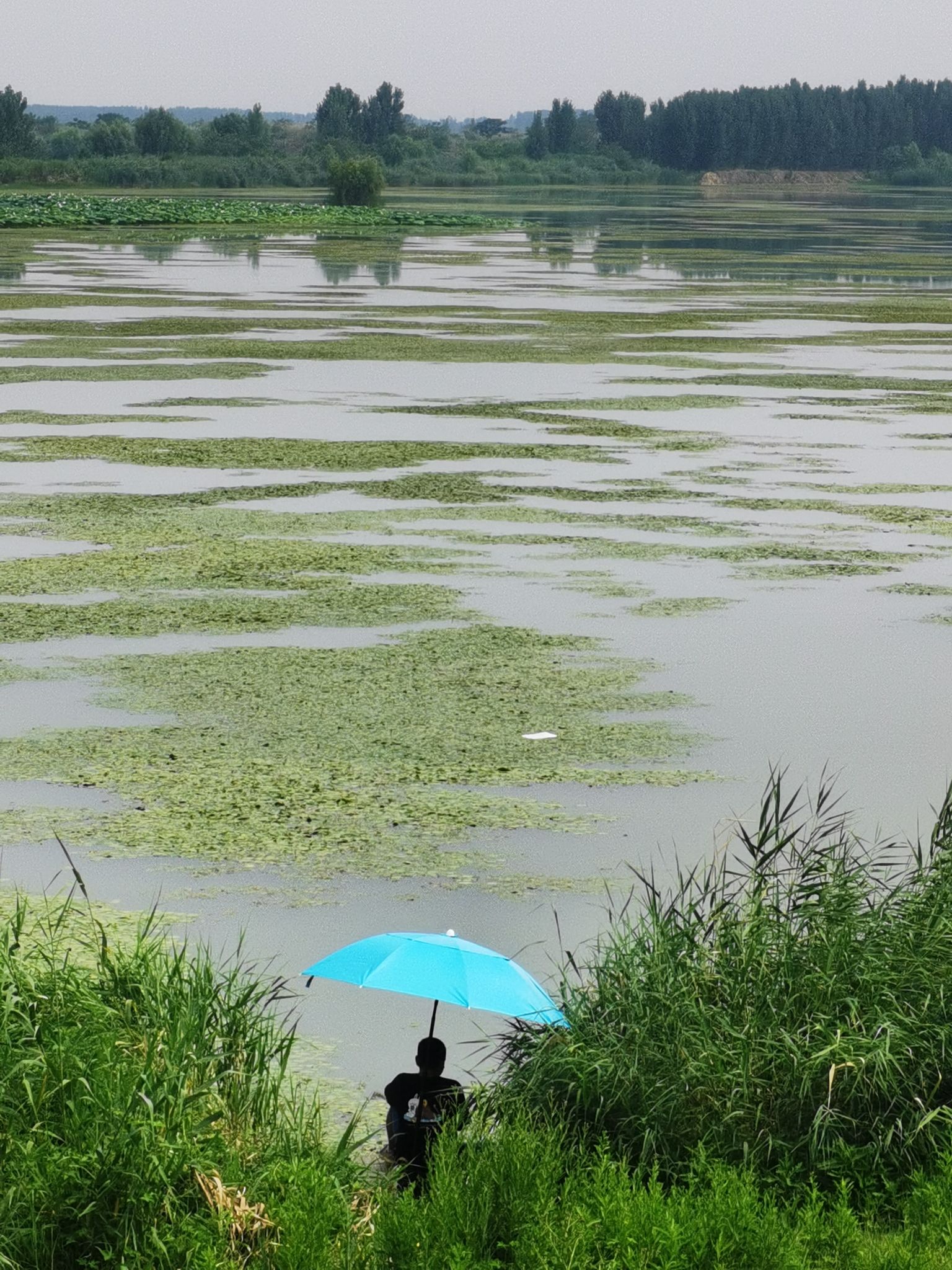白云湖景区旅行图片 3