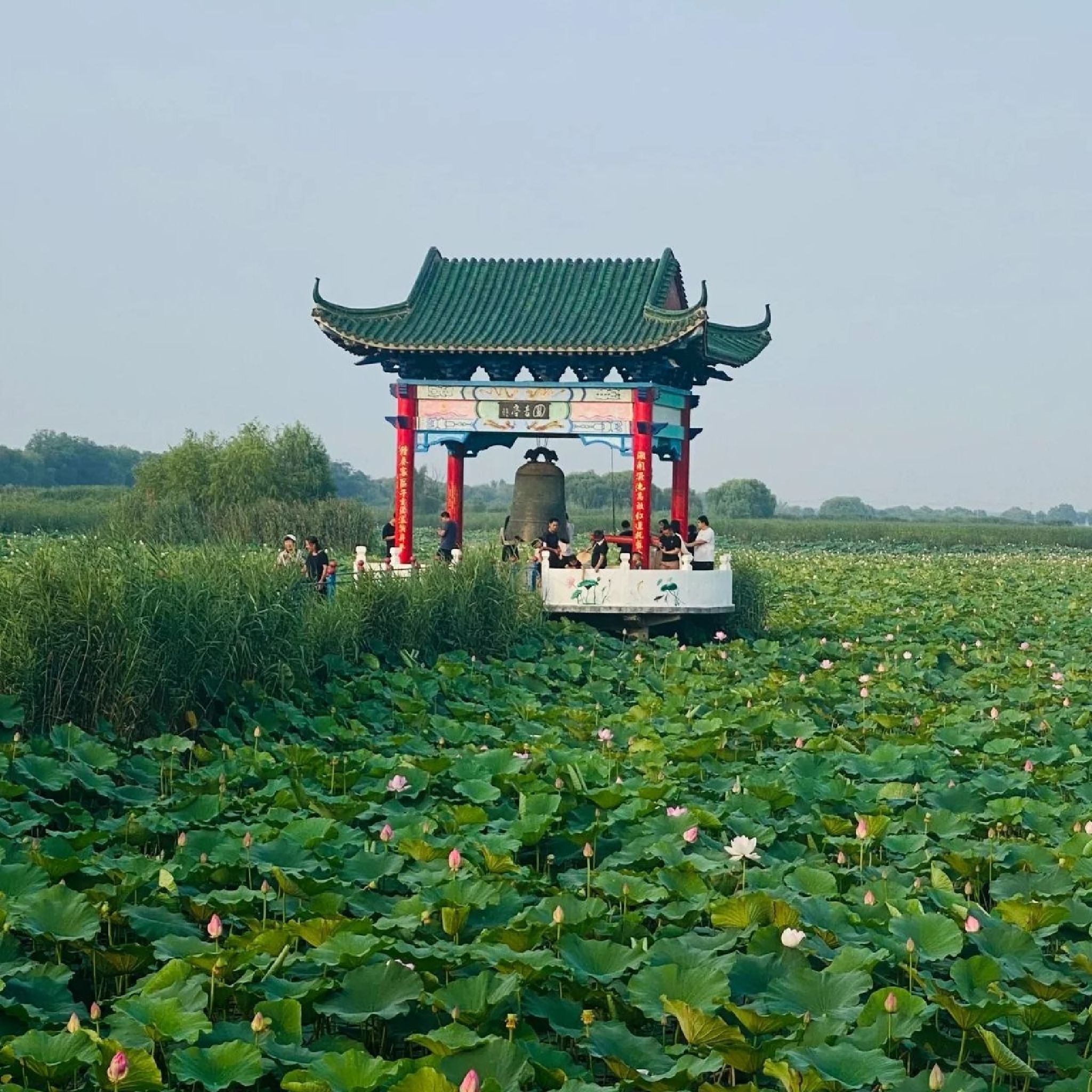 白云湖景区旅行图片 2