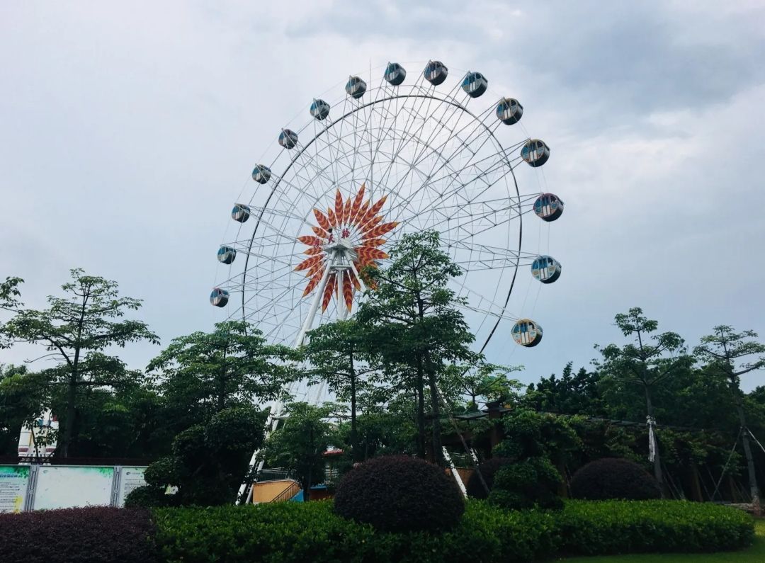白云湖景区旅行图片 3