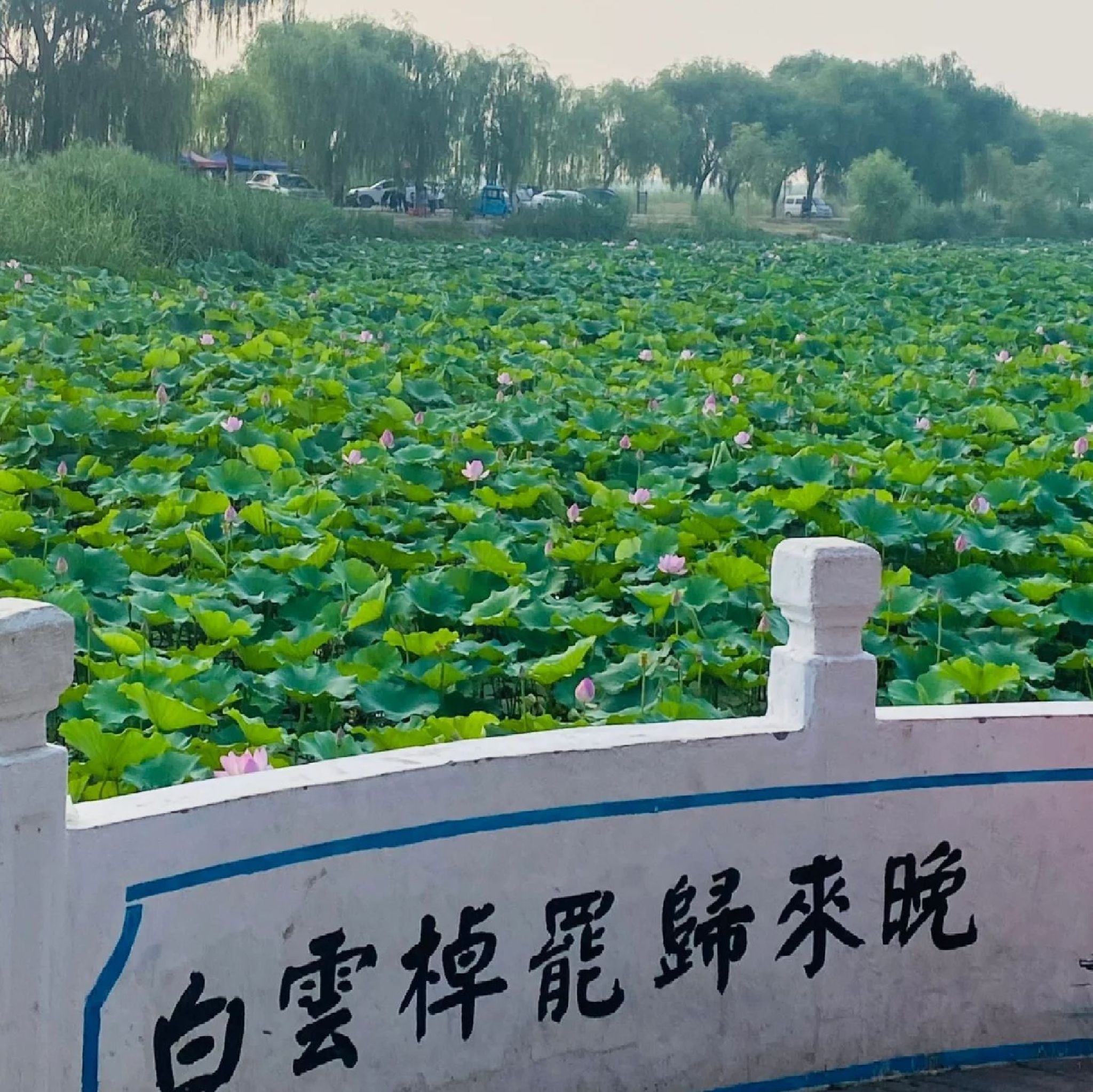 白云湖景区旅行图片 1