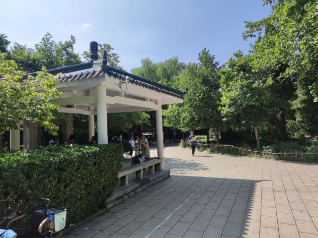 百花公园旅行图片 1