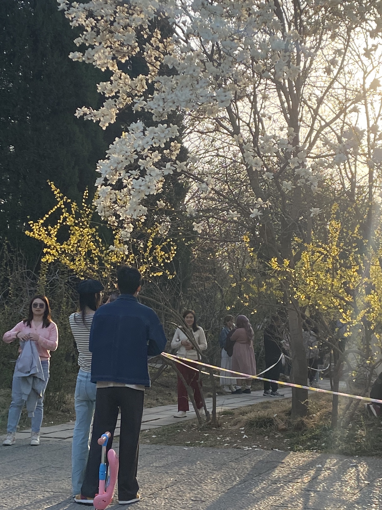 百花公园旅行图片 3