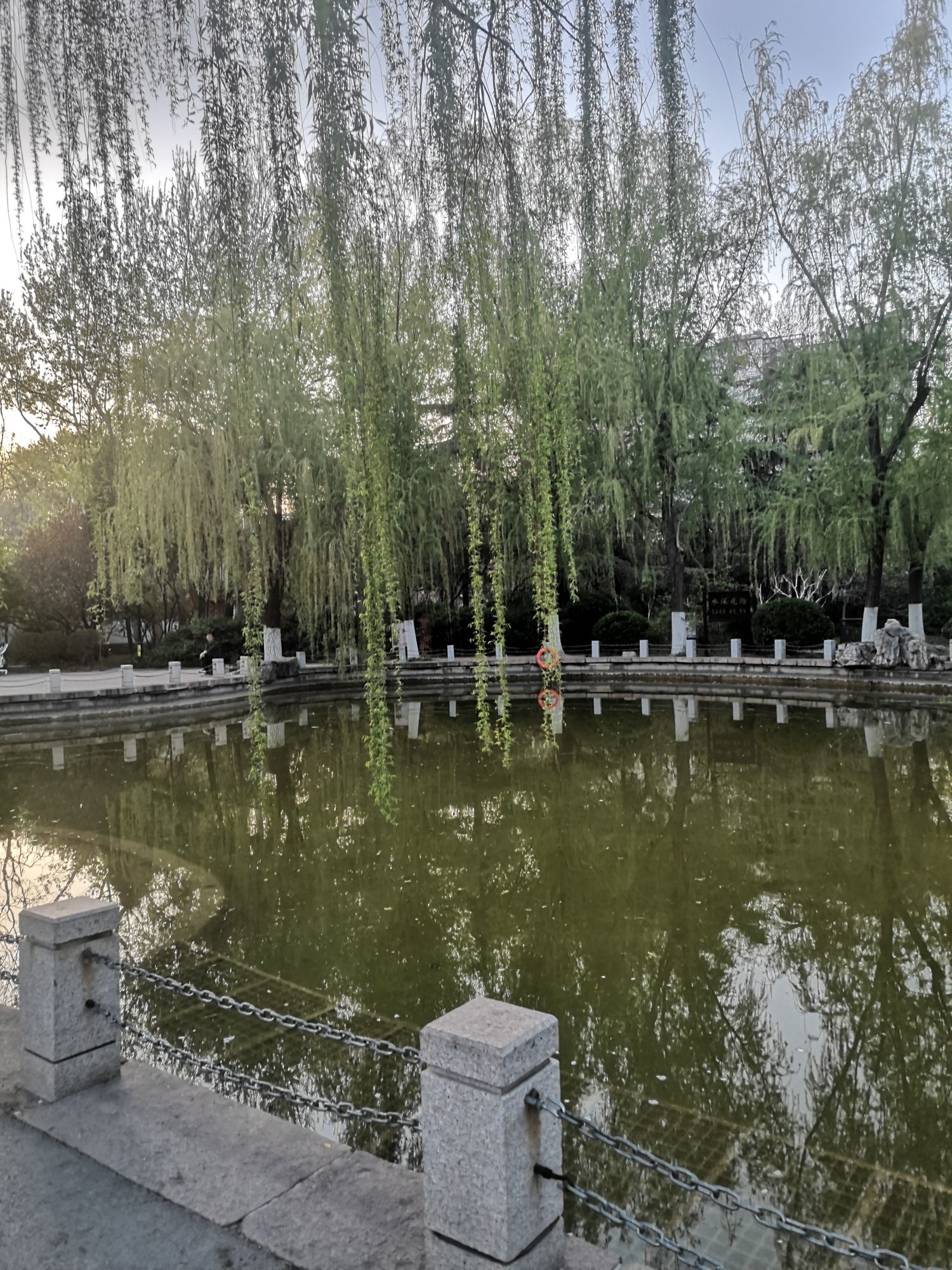 百花公园旅行图片 3