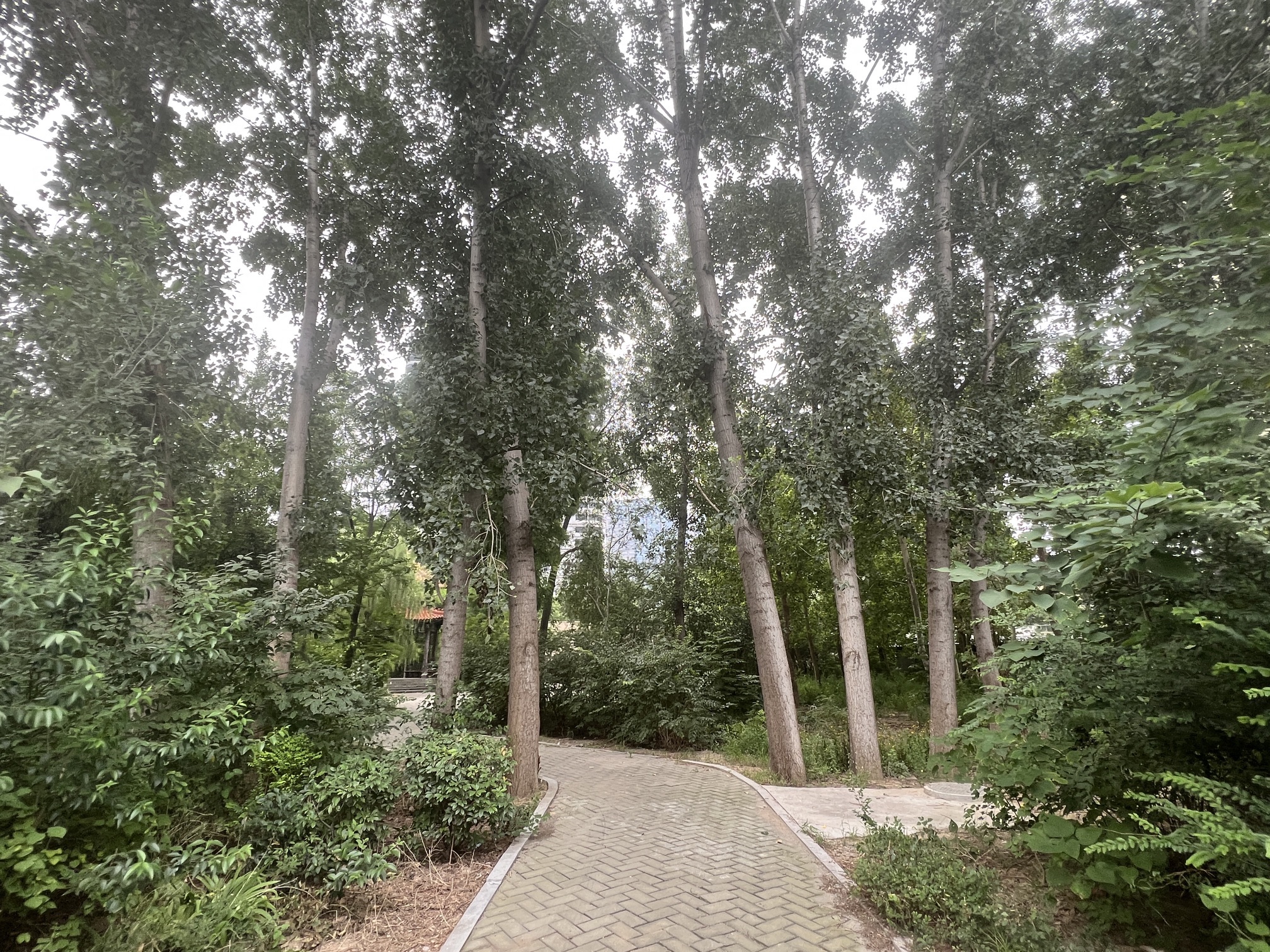 黄台公园旅行图片 3