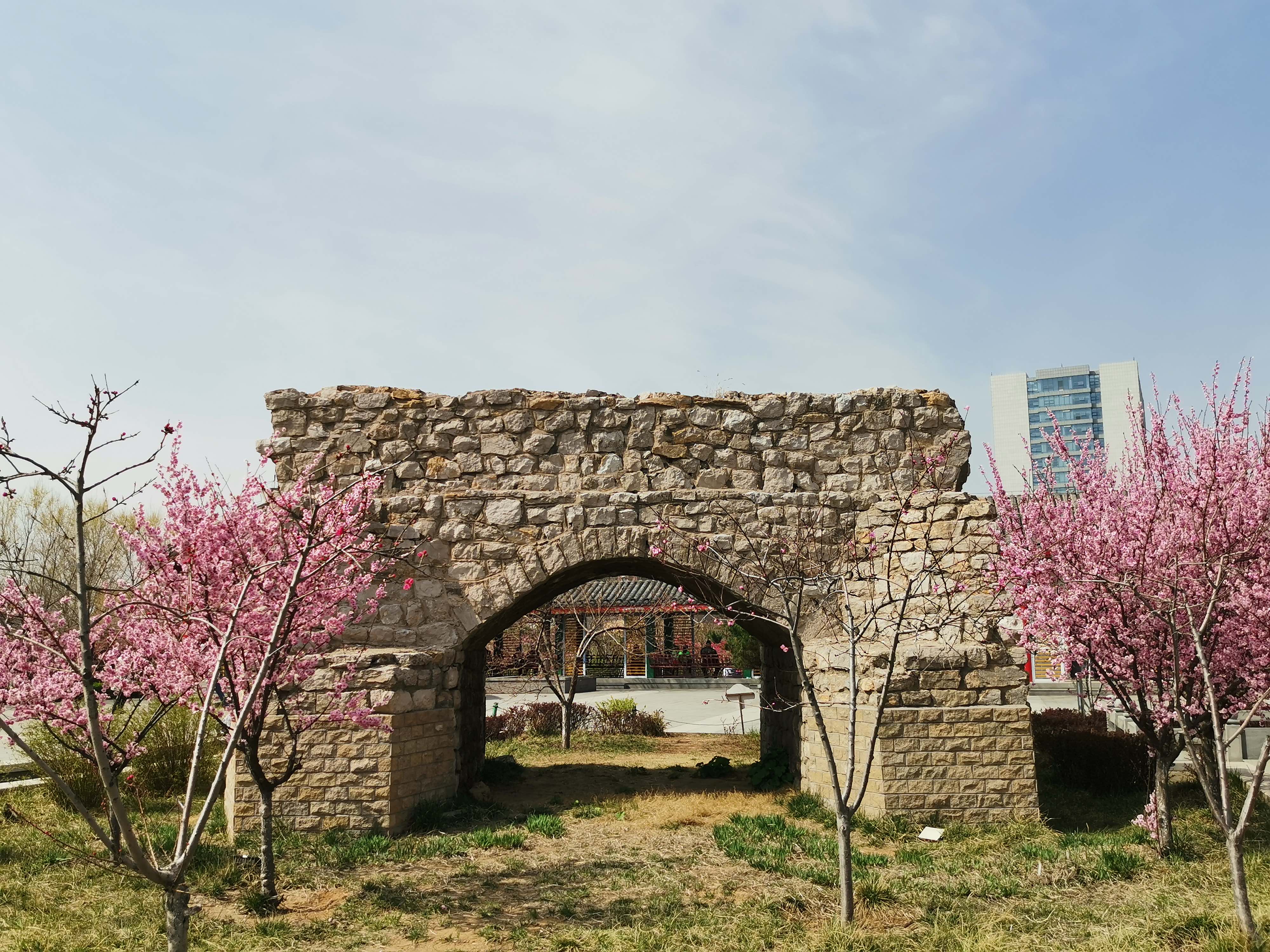 桃花山公园旅行图片 2