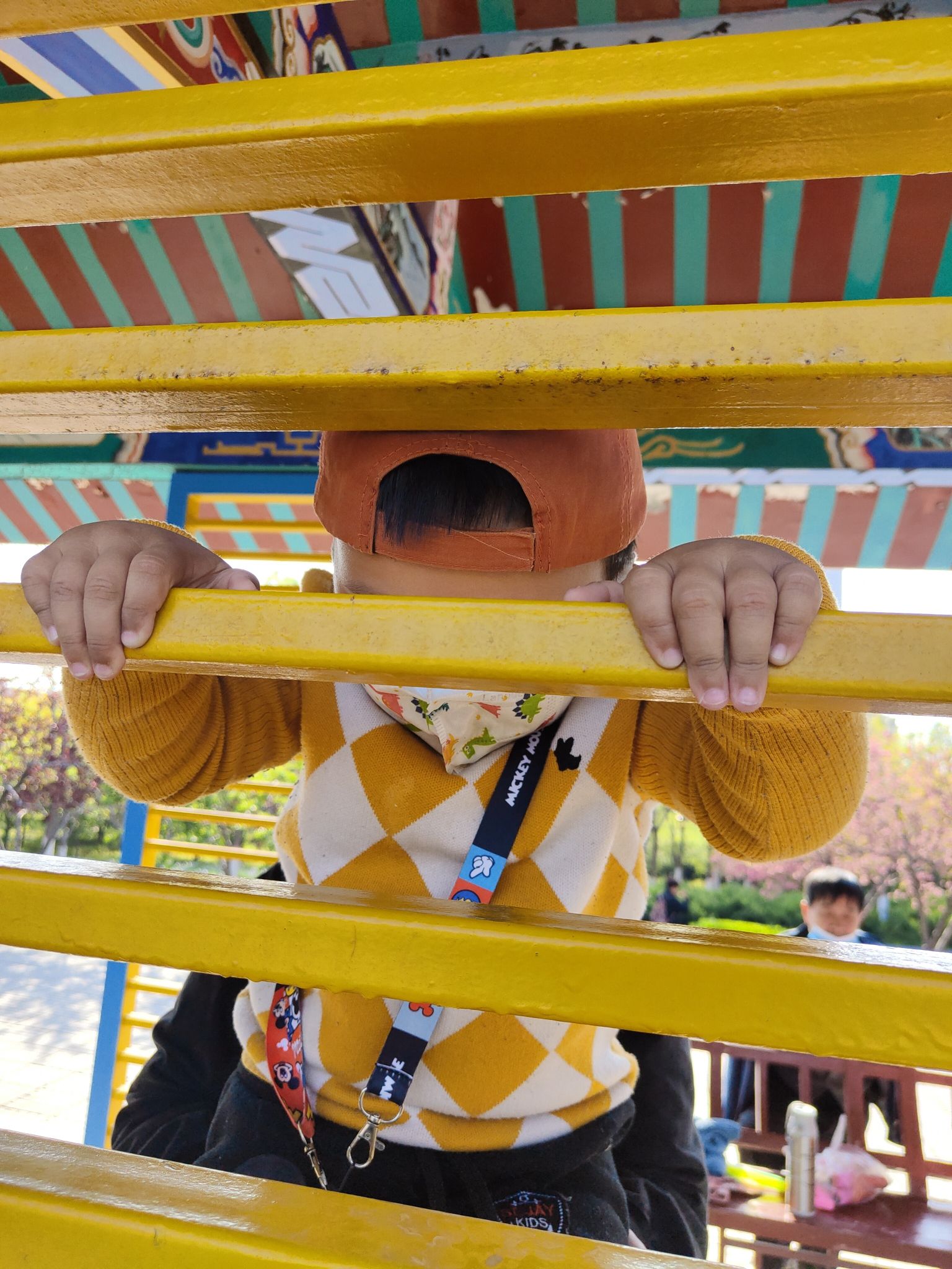 桃花山公园旅行图片 1