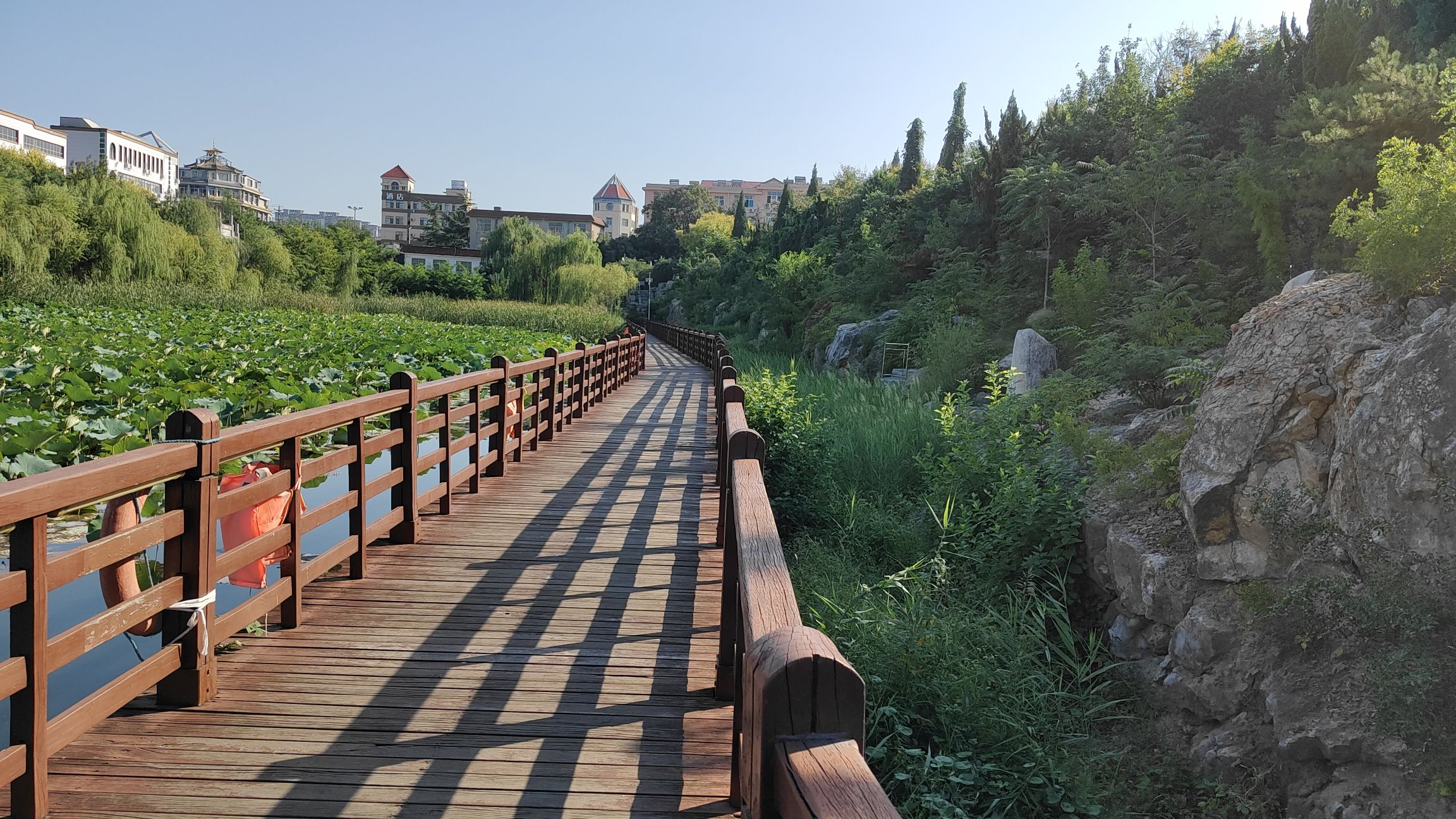 桃花山公园旅行图片 1