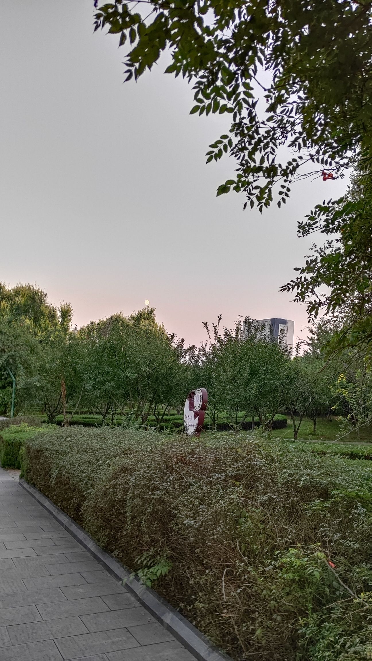 桃花山公园旅行图片 2