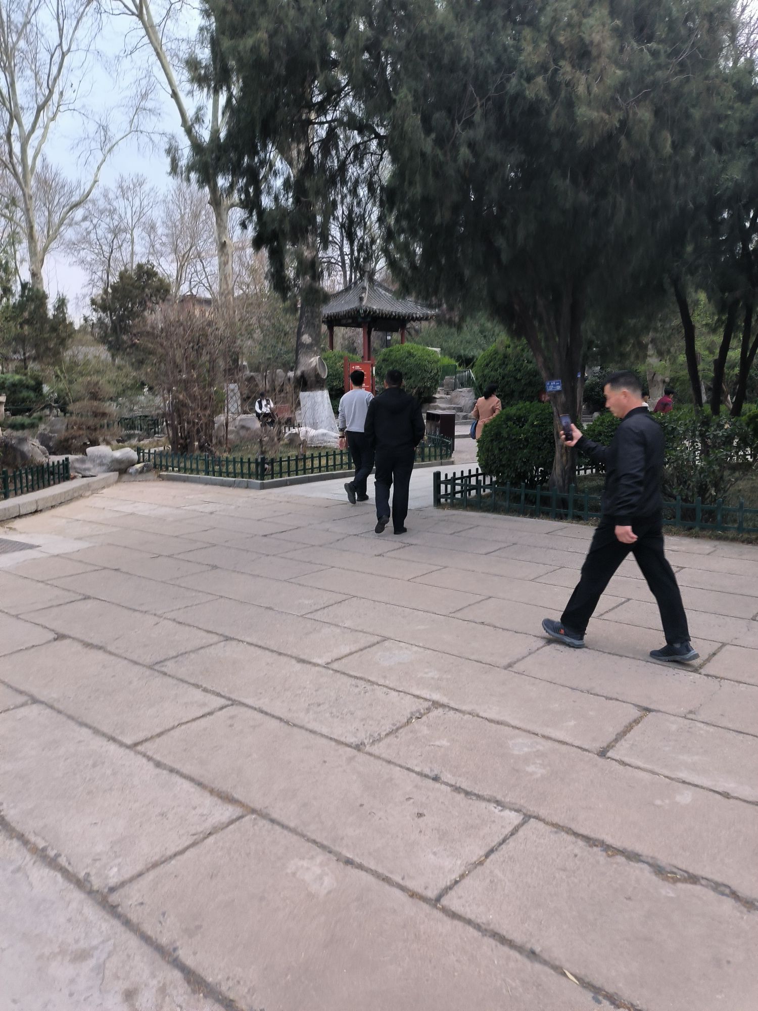 中山公园旅行图片 2