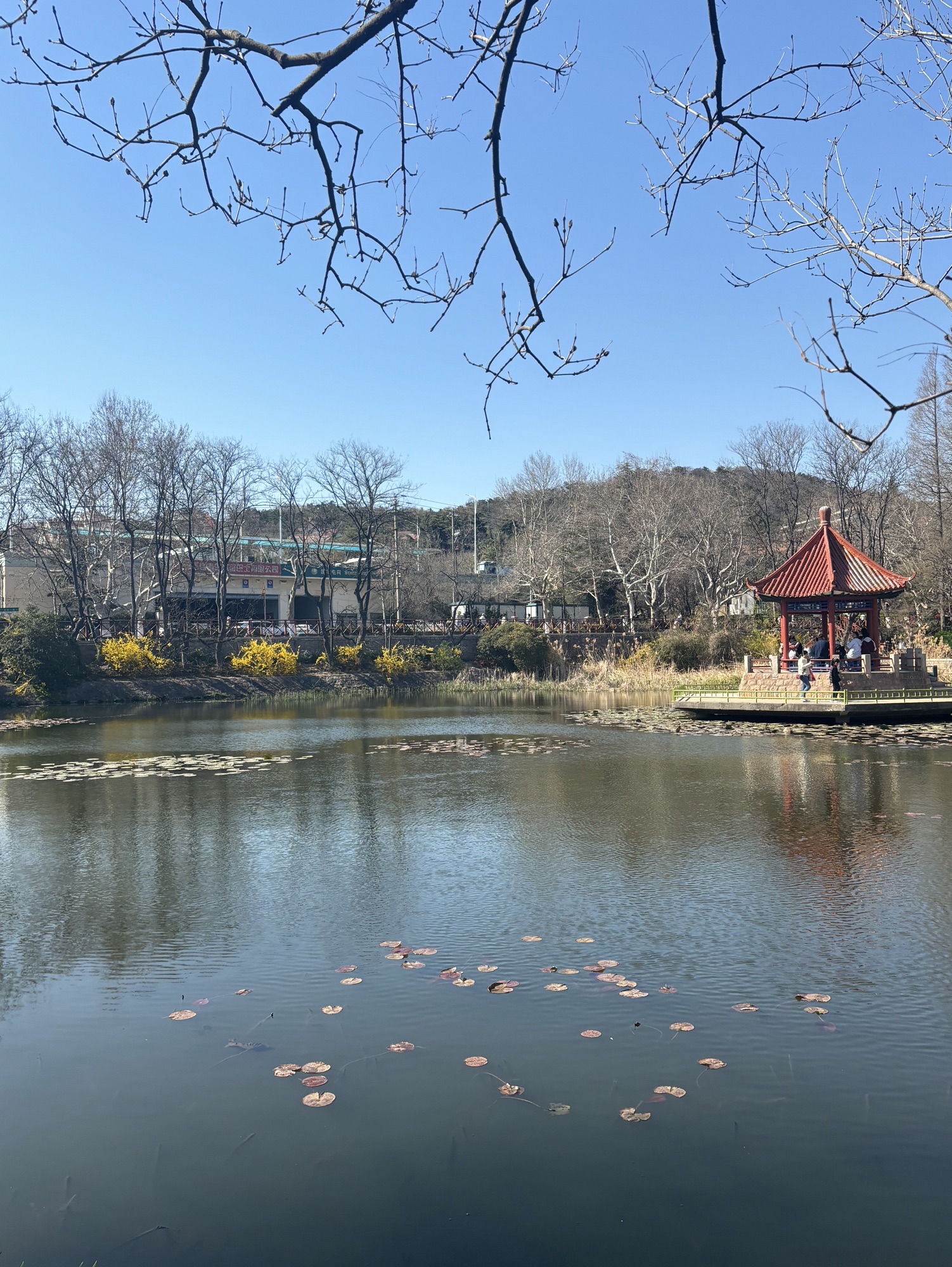 中山公园