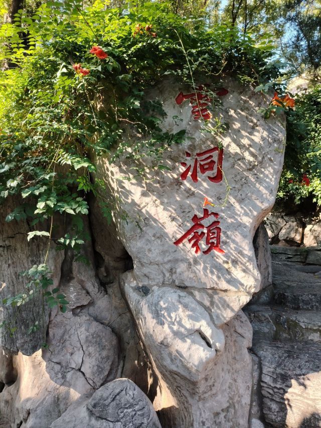 中山公园旅行图片 2