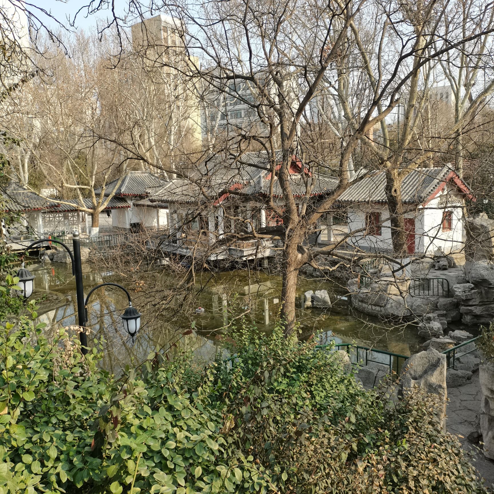 中山公园旅行图片 2
