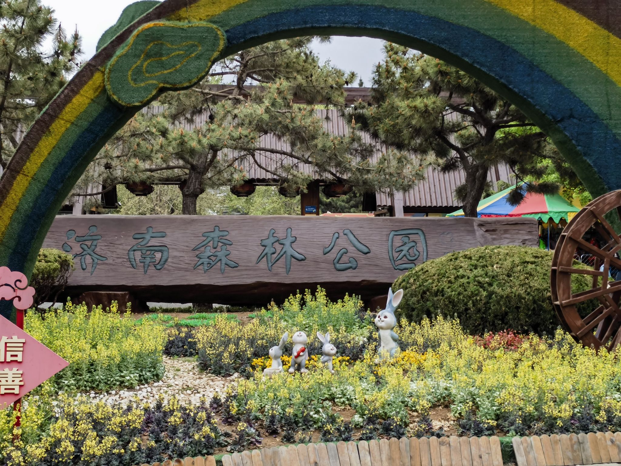 济南森林公园旅行图片 1