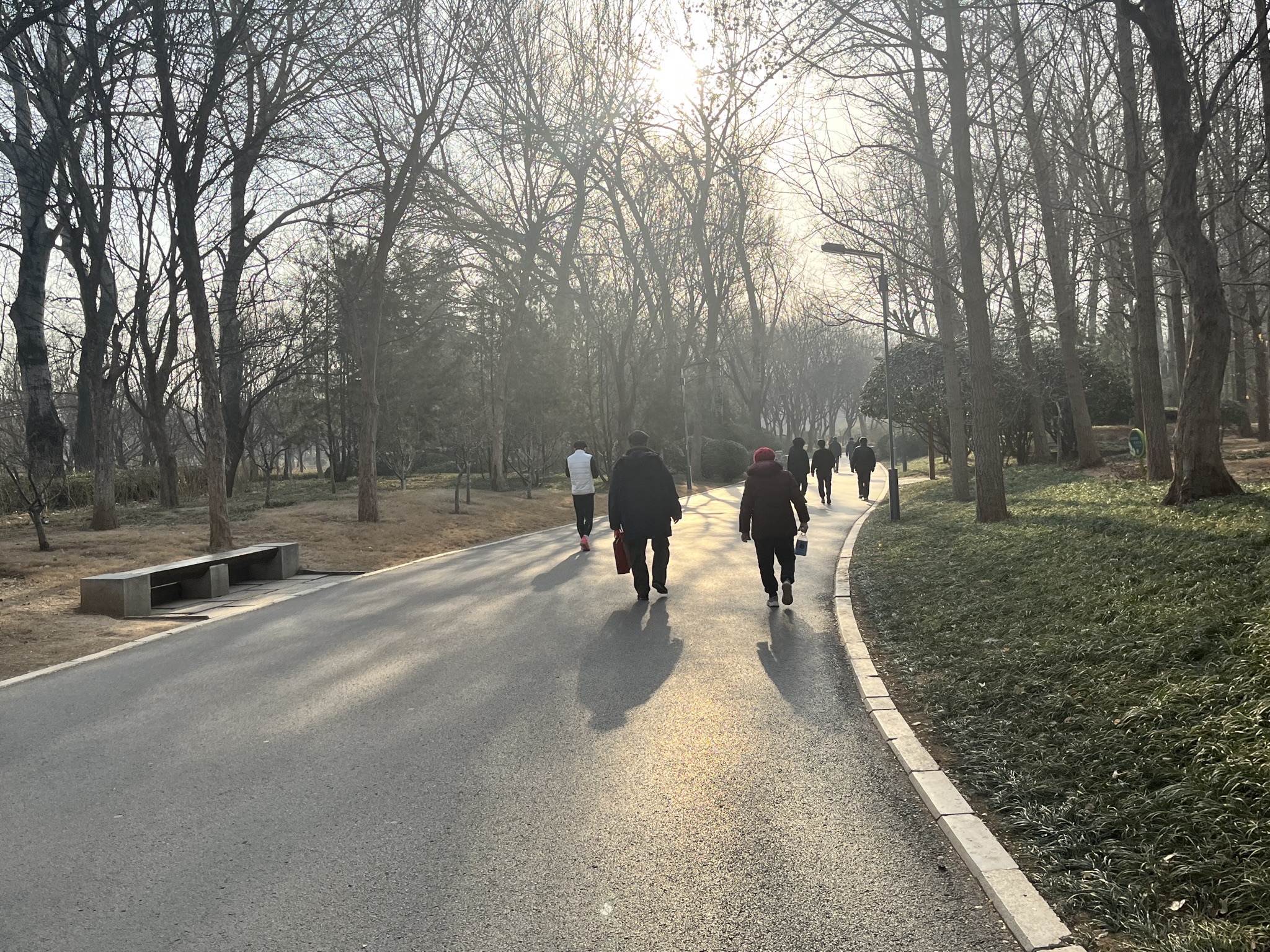 济南森林公园旅行图片 3