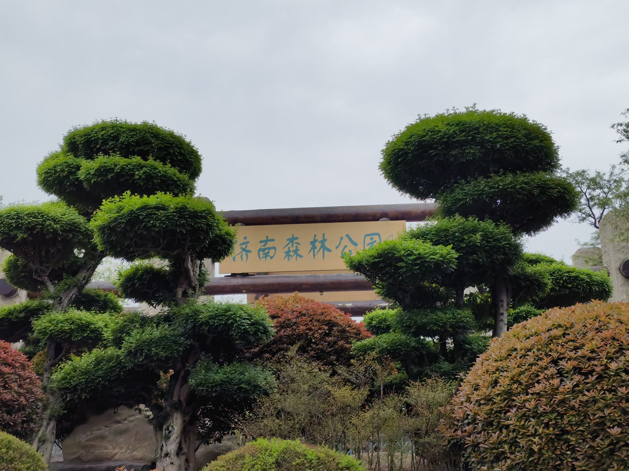 济南森林公园旅行图片 2